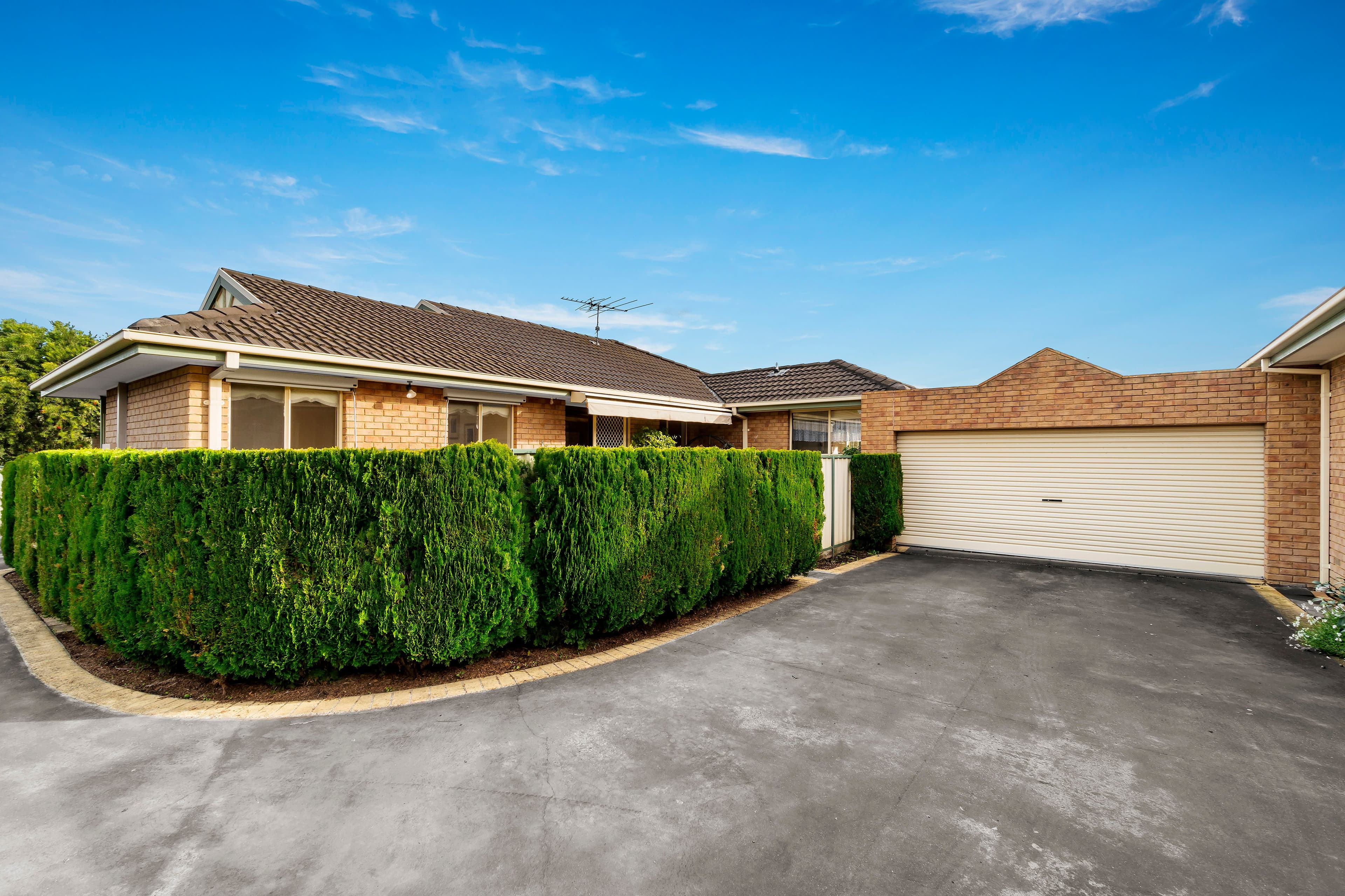 66 Edward Street, Macleod VIC 3085, Macleod - Thumbnail 3