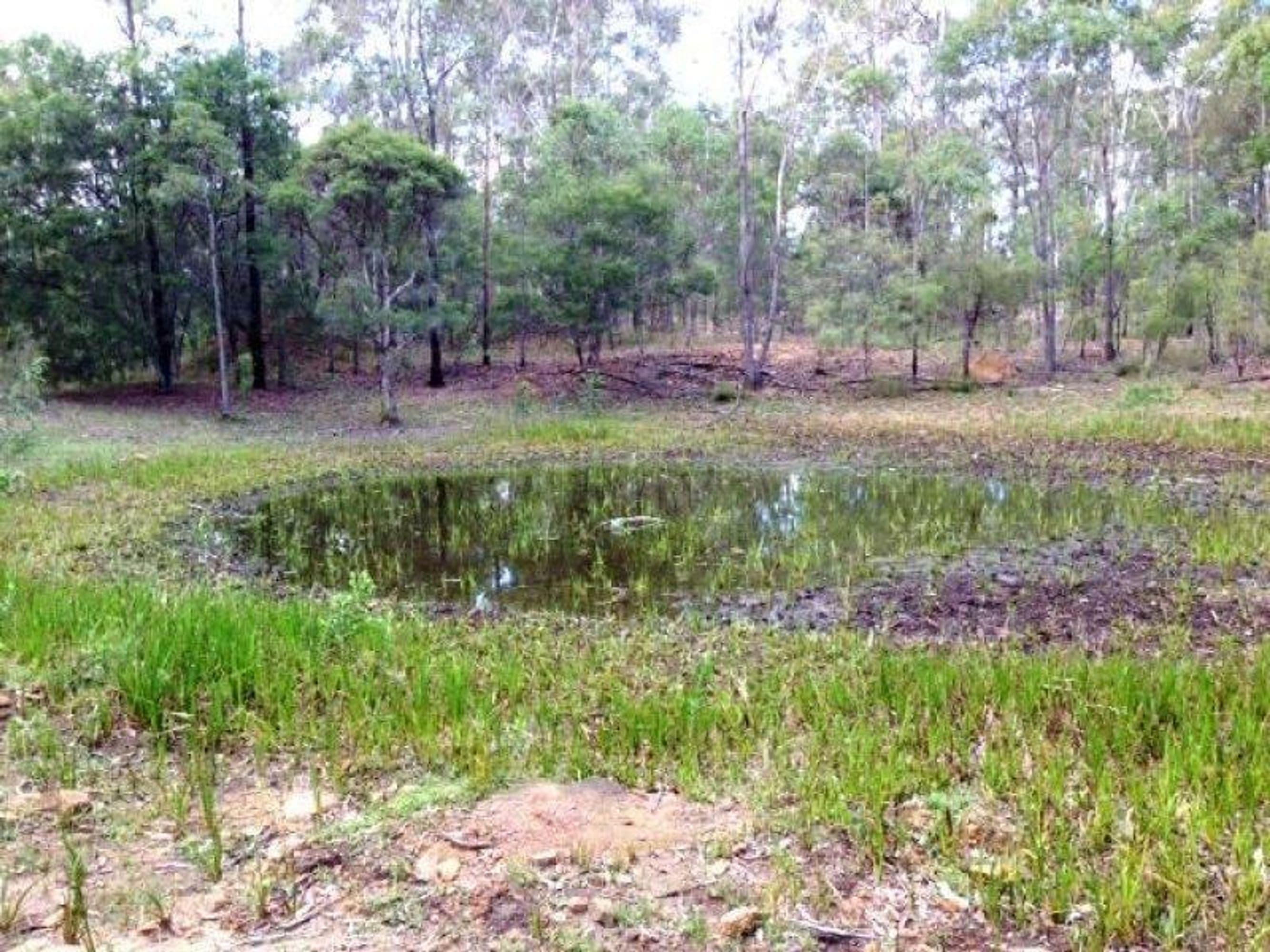 801 Kangaroo Creek Road, Coutts Crossing - Thumbnail 4
