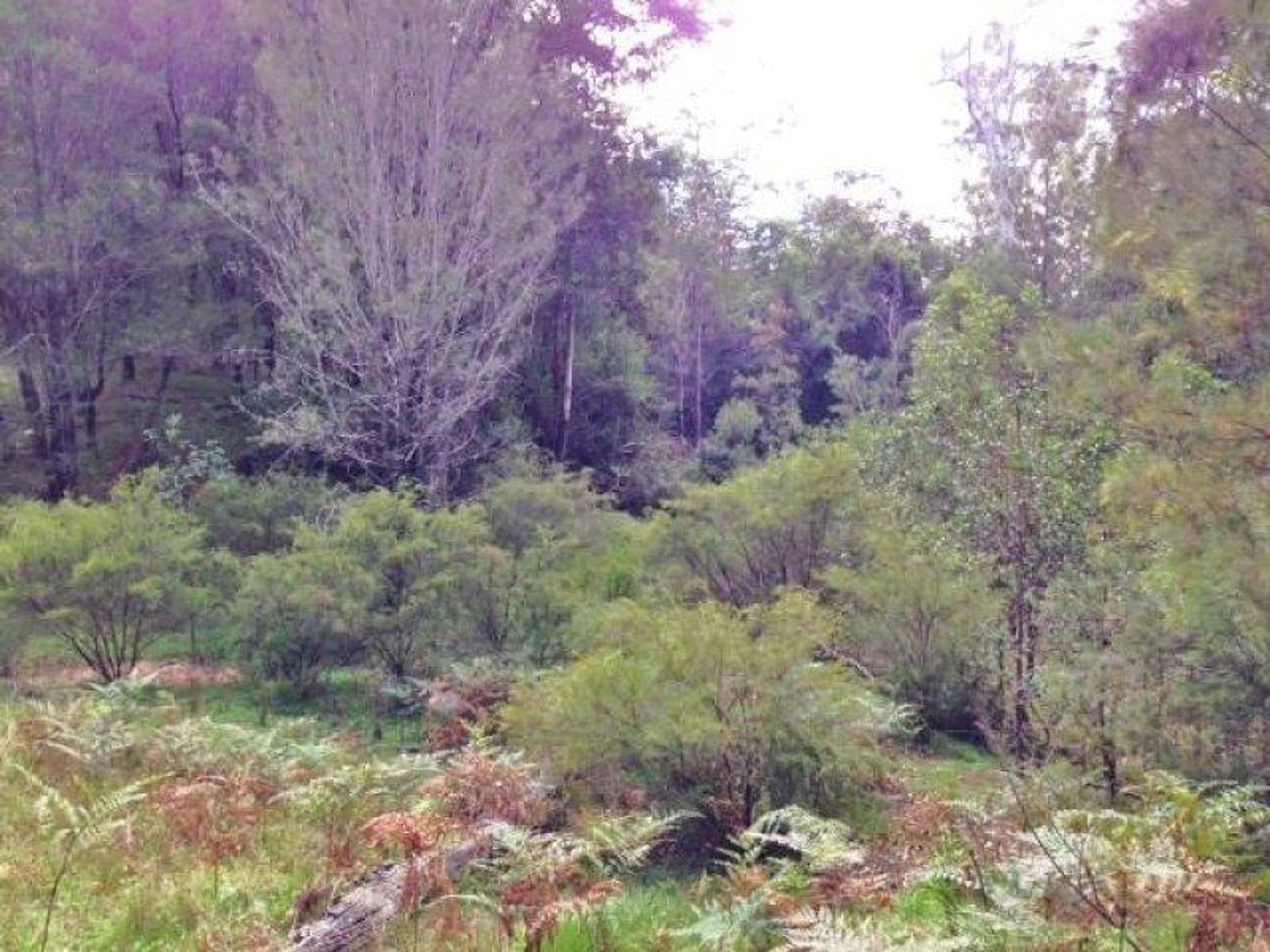 801 Kangaroo Creek Road, Coutts Crossing - Thumbnail 5
