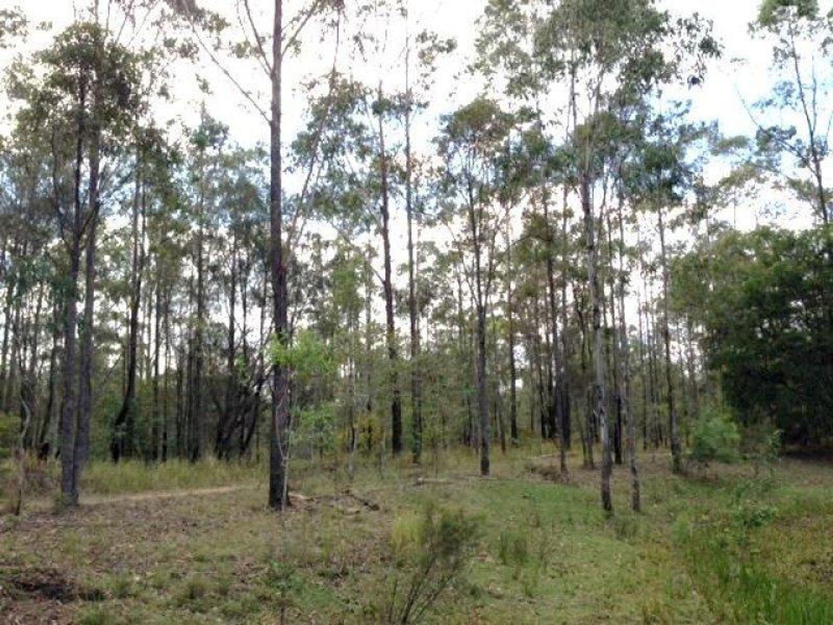 801 Kangaroo Creek Road, Coutts Crossing - Thumbnail 6