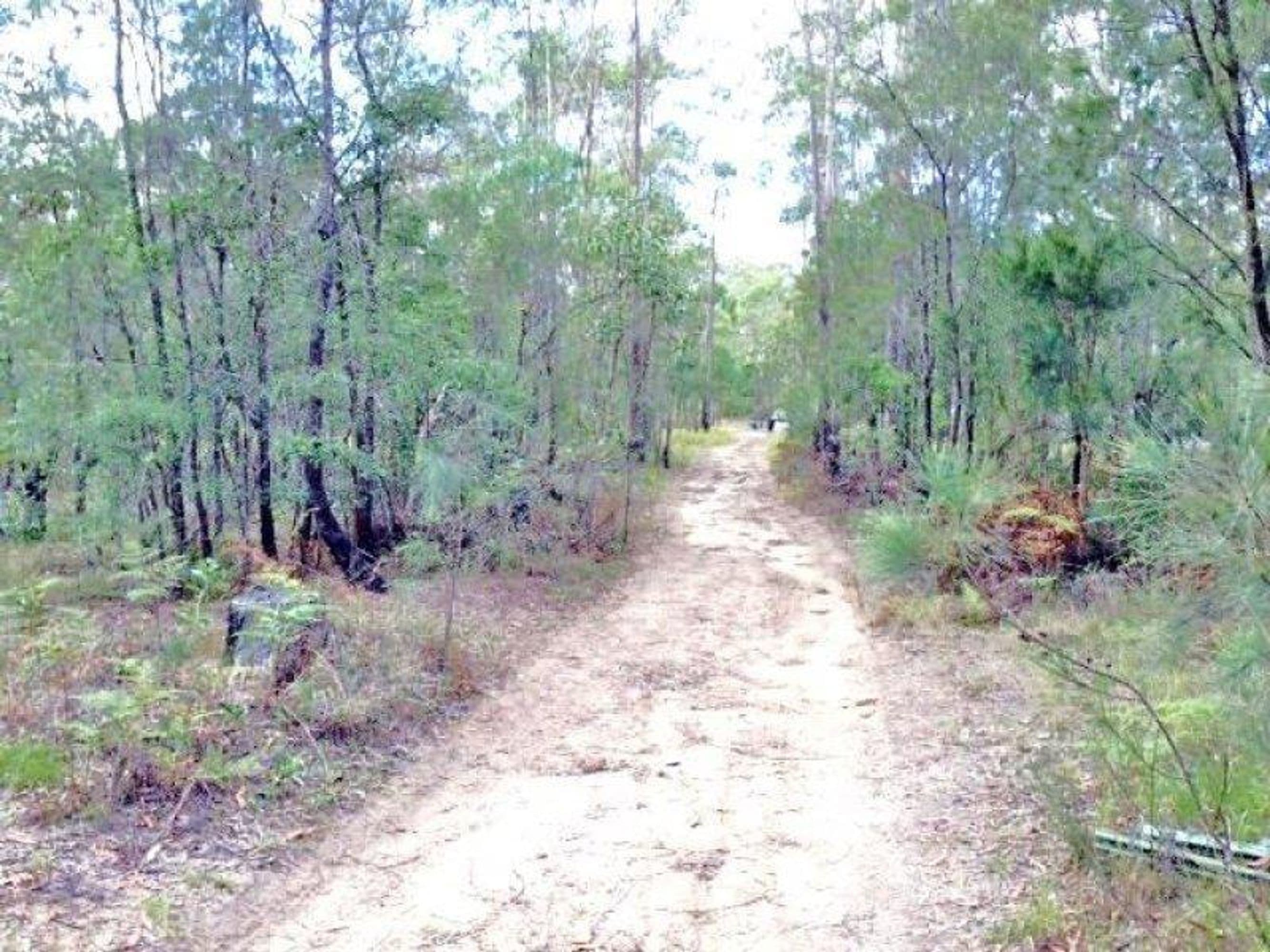 801 Kangaroo Creek Road, Coutts Crossing - Thumbnail 8