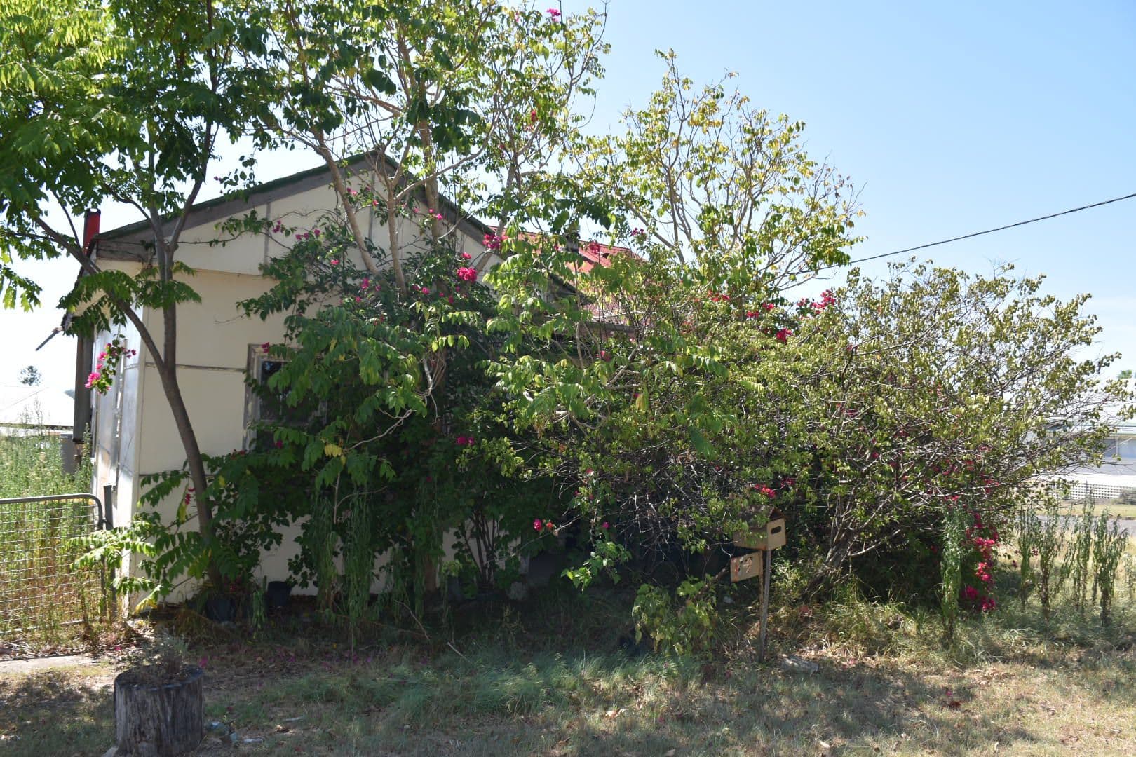 37 Moon Street, Wingham - Thumbnail 2