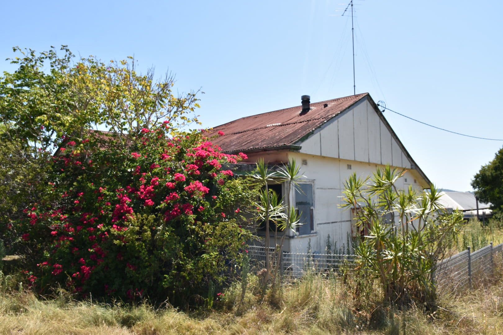 37 Moon Street, Wingham - Thumbnail 4