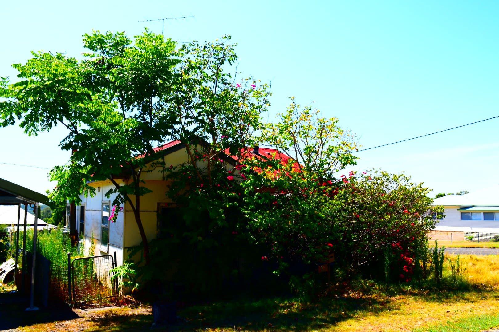 37 Moon Street, Wingham - Thumbnail 5