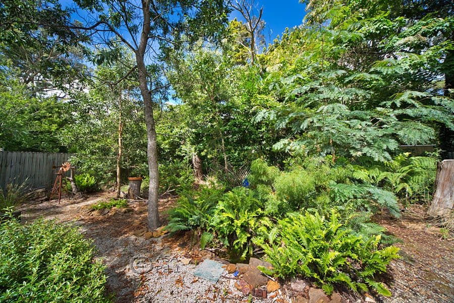 25 Grose Street, Blackheath NSW 2785, Blackheath - Thumbnail 7