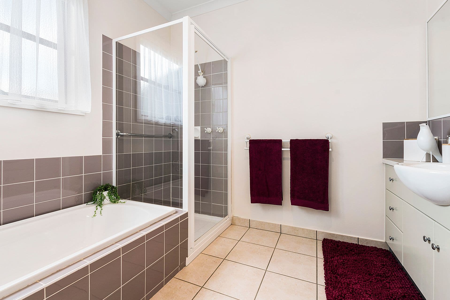 101 Hovell Street, Echuca VIC 3564, Echuca - Thumbnail 7