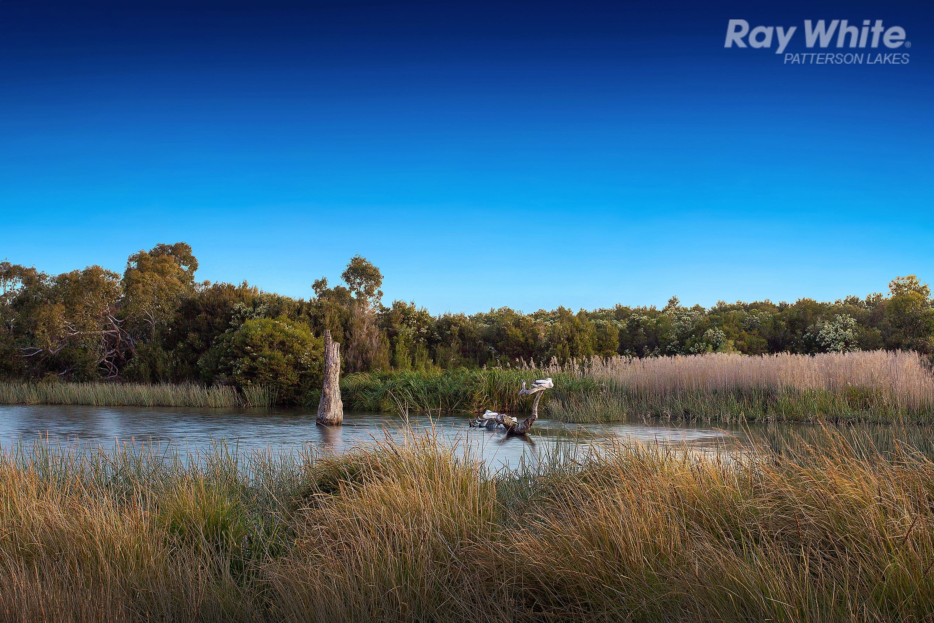 5 Waterlily Court, Waterways VIC 3195, Waterways - Thumbnail 8