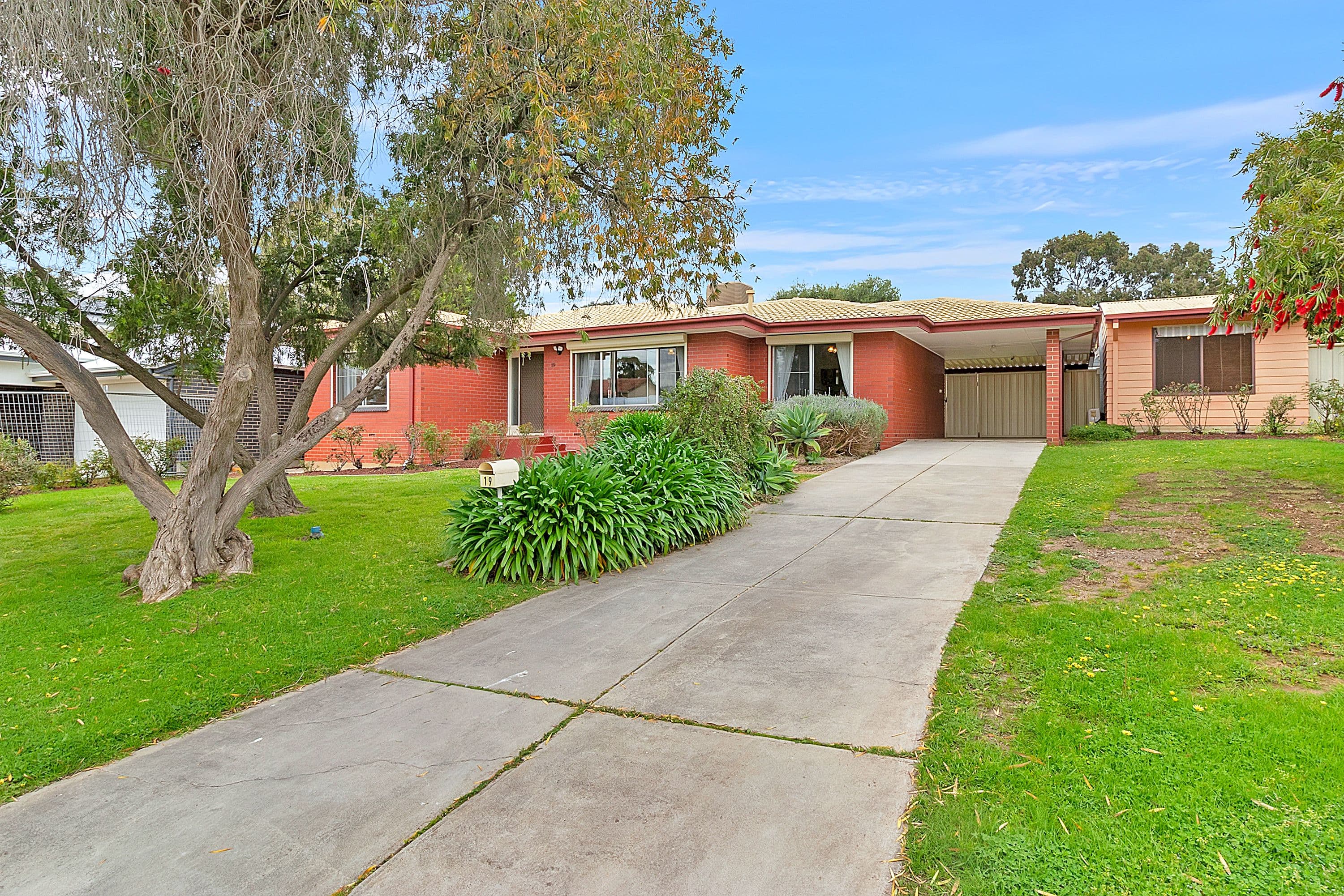19 Leyte Drive, Surrey Downs SA 5126, Surrey Downs - Image 1