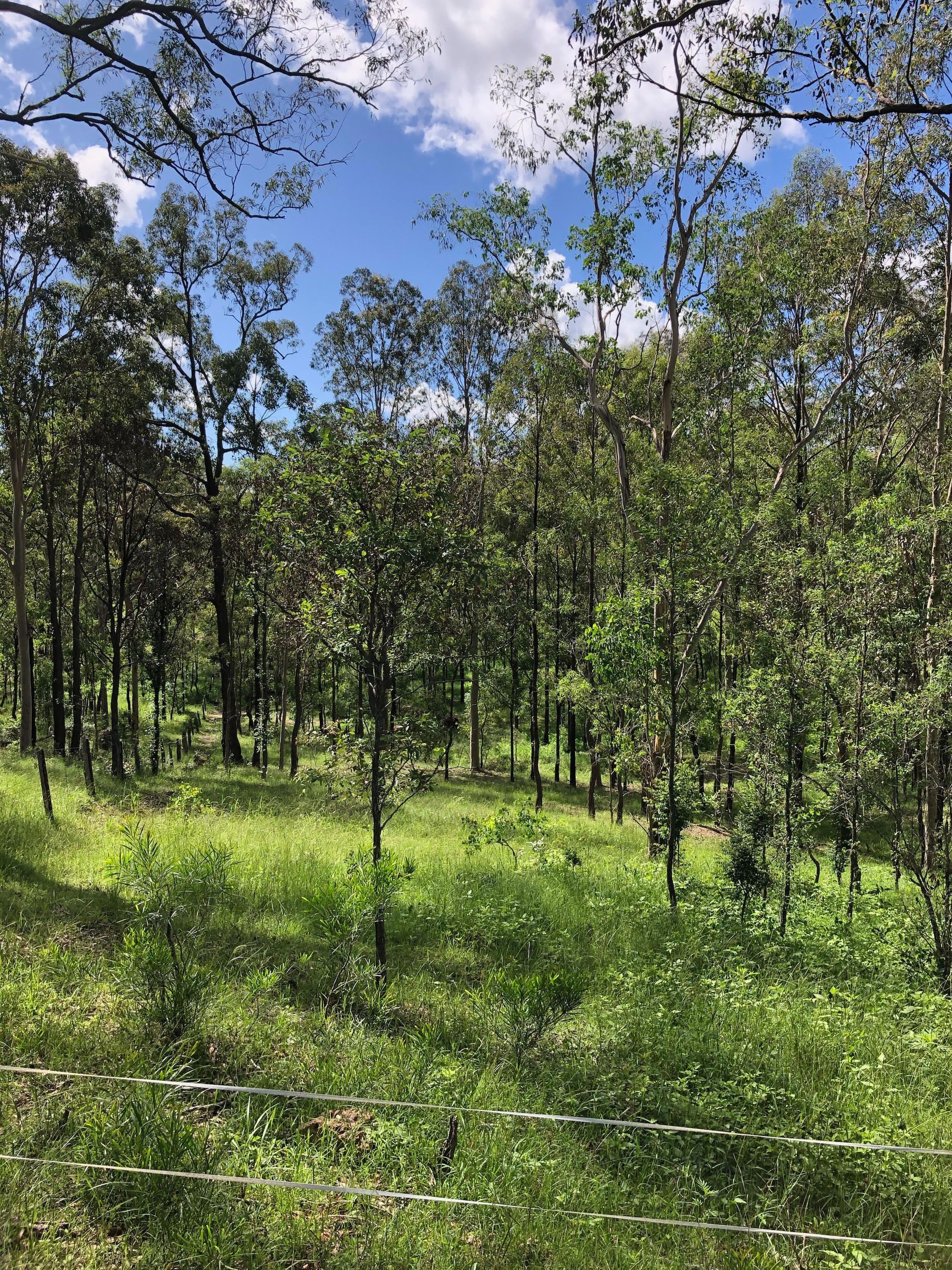 94 Rifle Street, Clarence Town NSW 2321, Clarence Town - Thumbnail 4