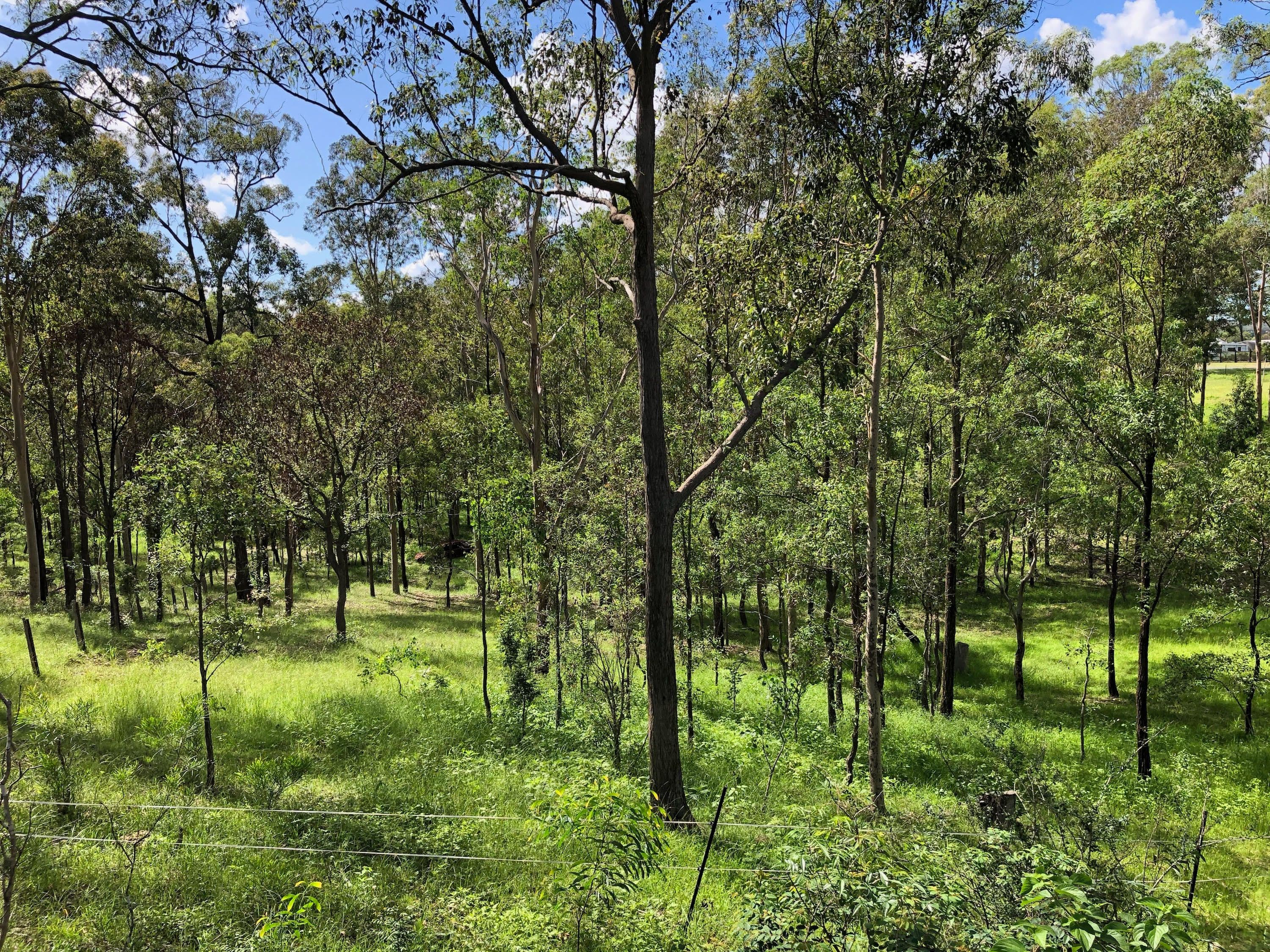 94 Rifle Street, Clarence Town NSW 2321, Clarence Town - Thumbnail 5