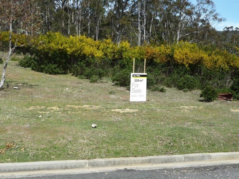 18 Lee Street, ROSSARDEN TAS 7213, Rossarden - Thumbnail 2