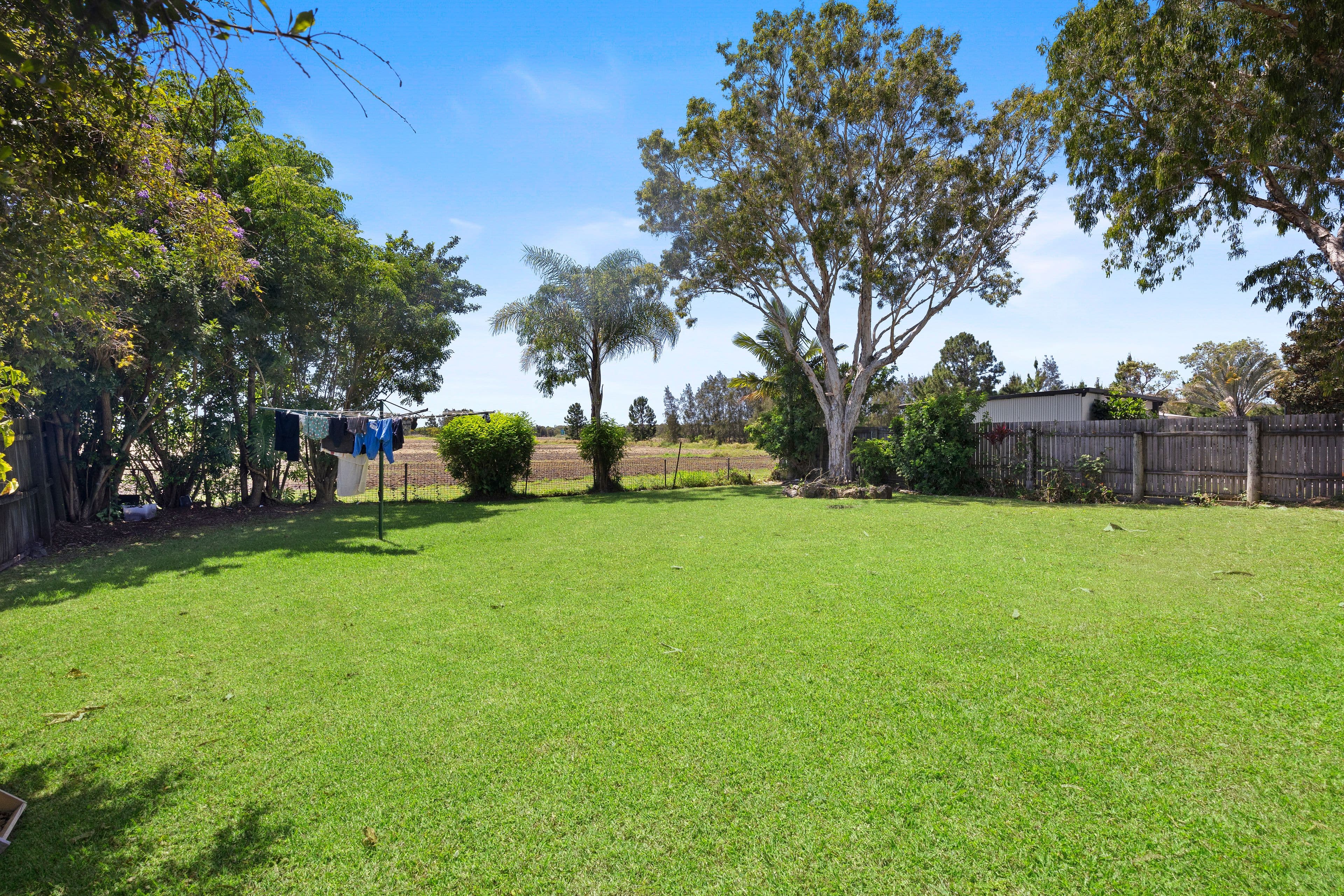 31 Godfreys Avenue, Bli Bli QLD 4560, Bli Bli - Thumbnail 3