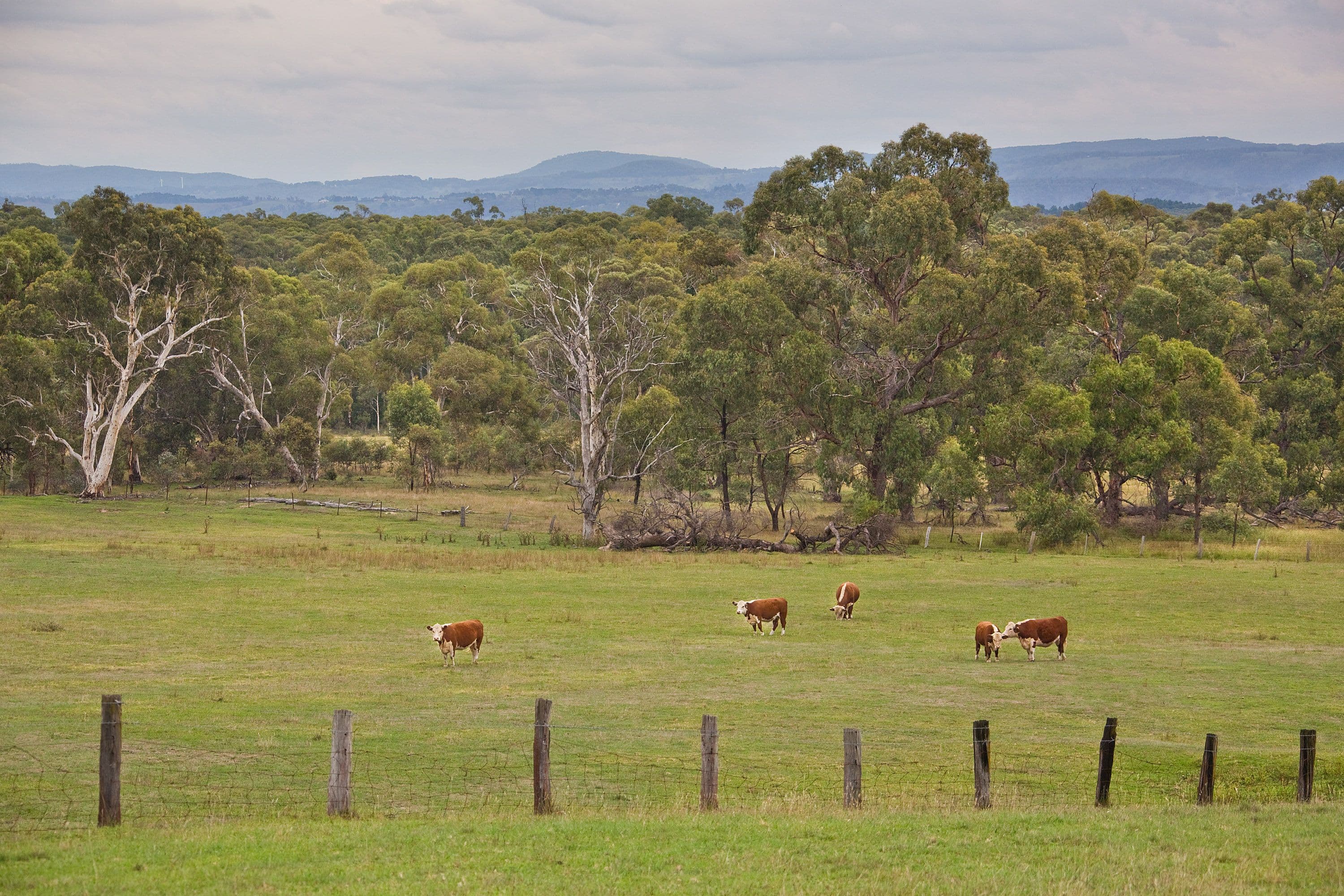 254 Hartley Vale Road, Hartley Vale - Thumbnail 4
