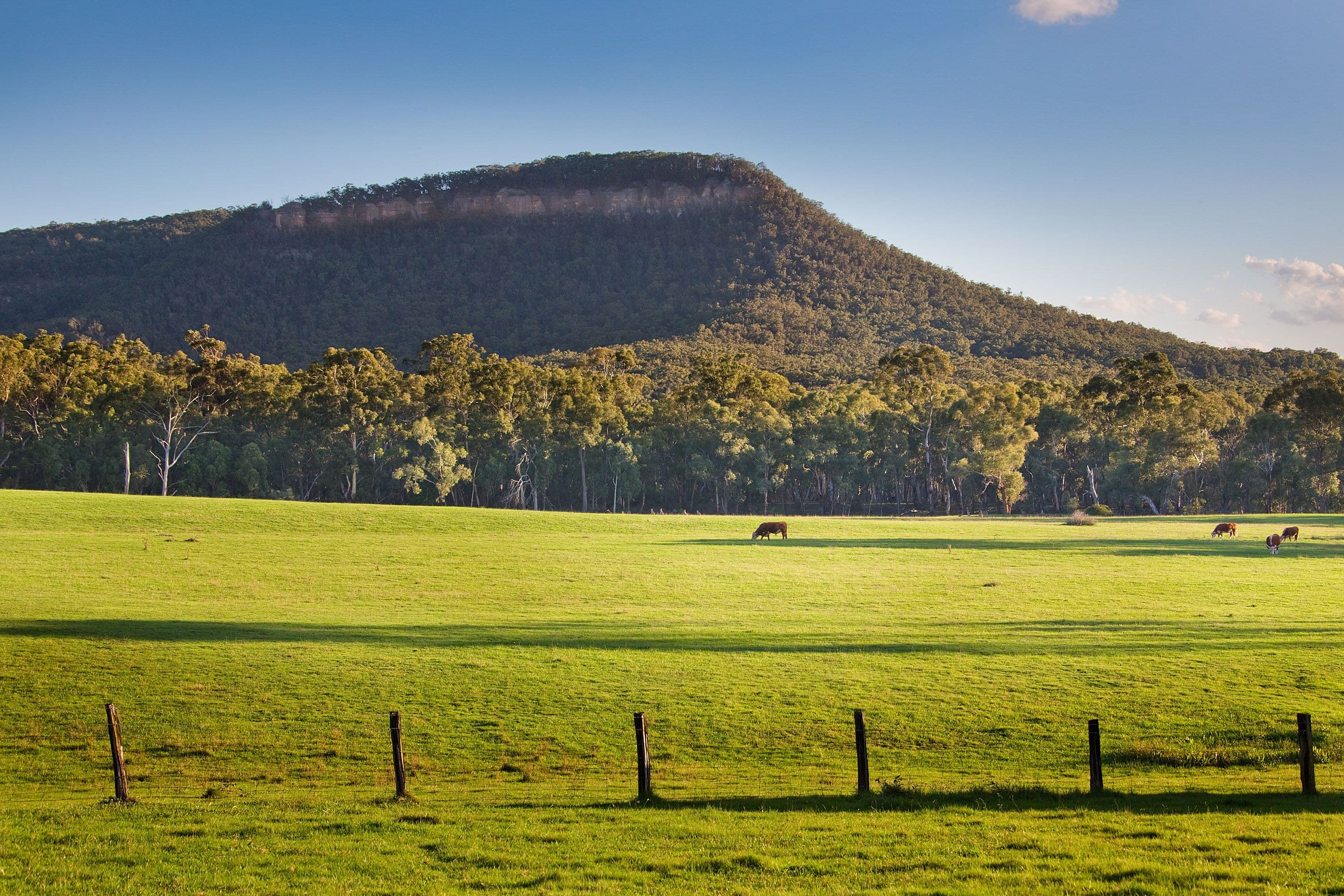 254 Hartley Vale Road, Hartley Vale - Thumbnail 5