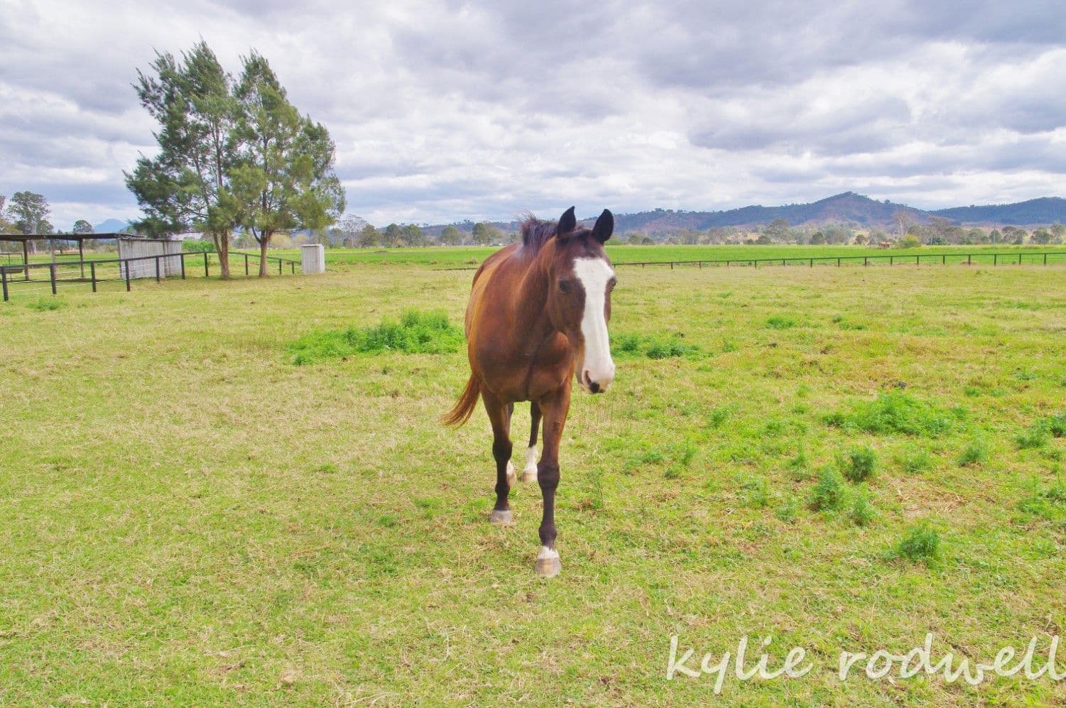 8652 Mt Lindesay Highway, Beaudesert QLD 4285, Beaudesert - Thumbnail 3