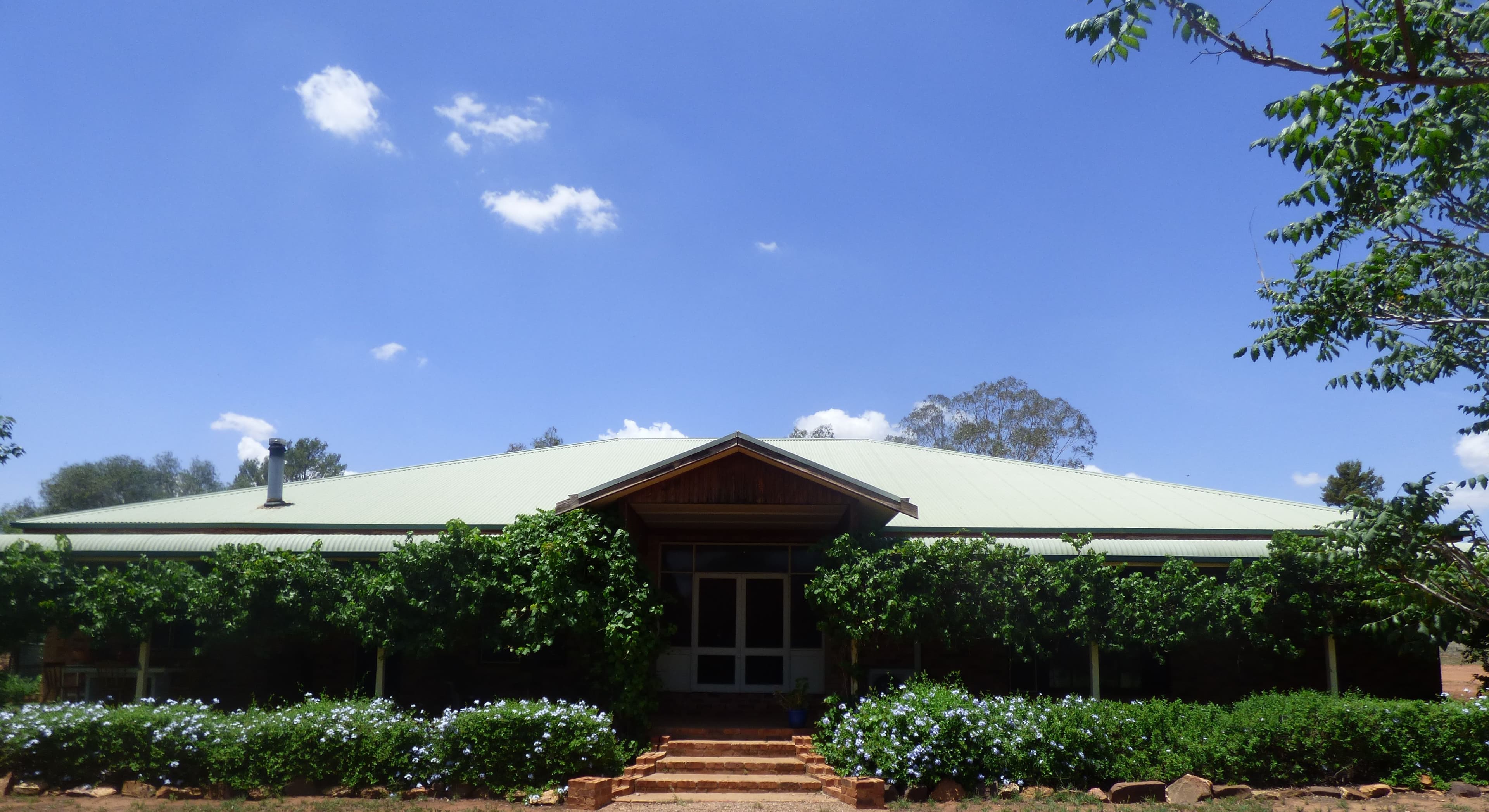 45 Maitland Street, Condobolin - Image 1