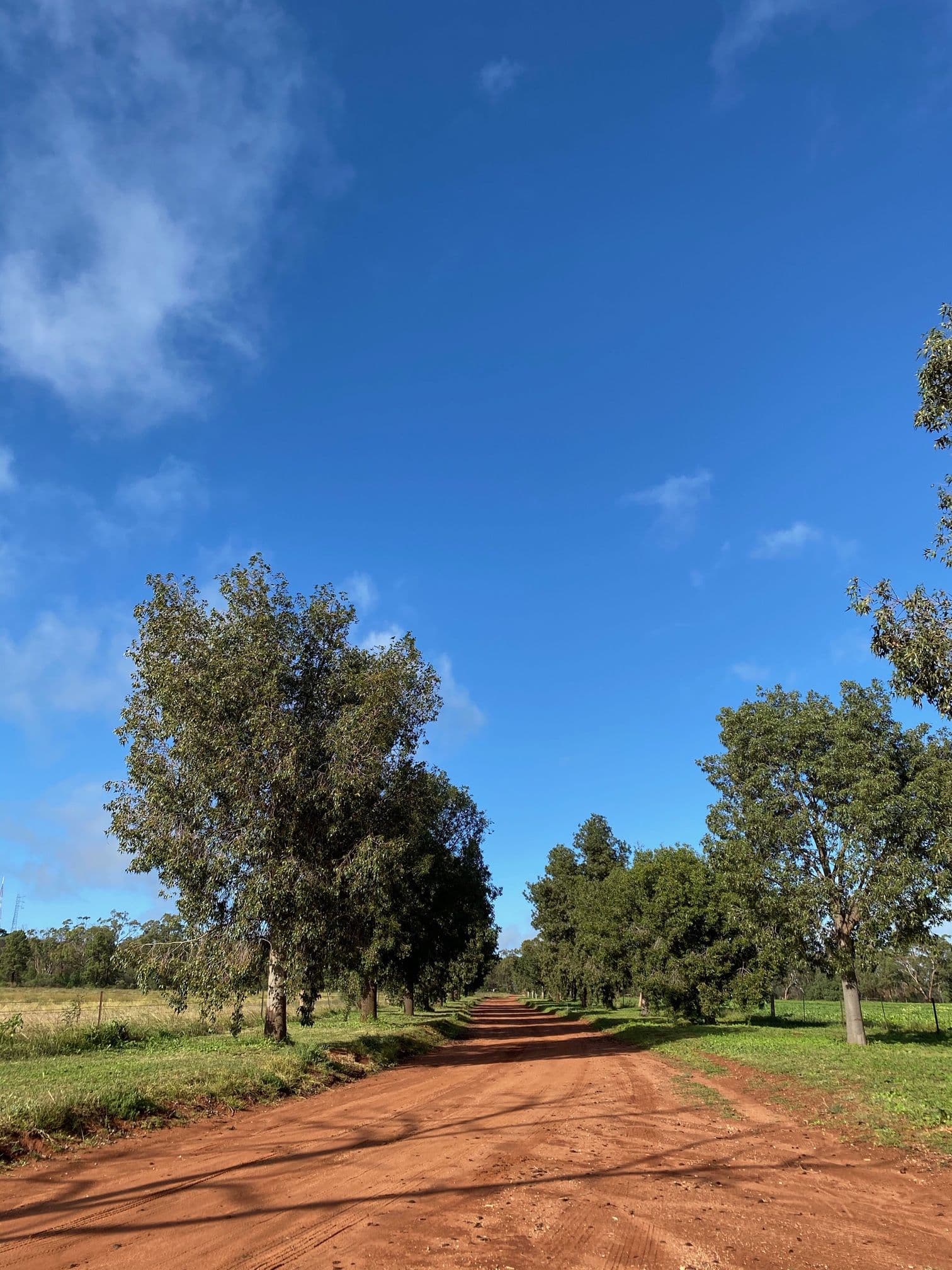 45 Maitland Street, Condobolin - Thumbnail 2