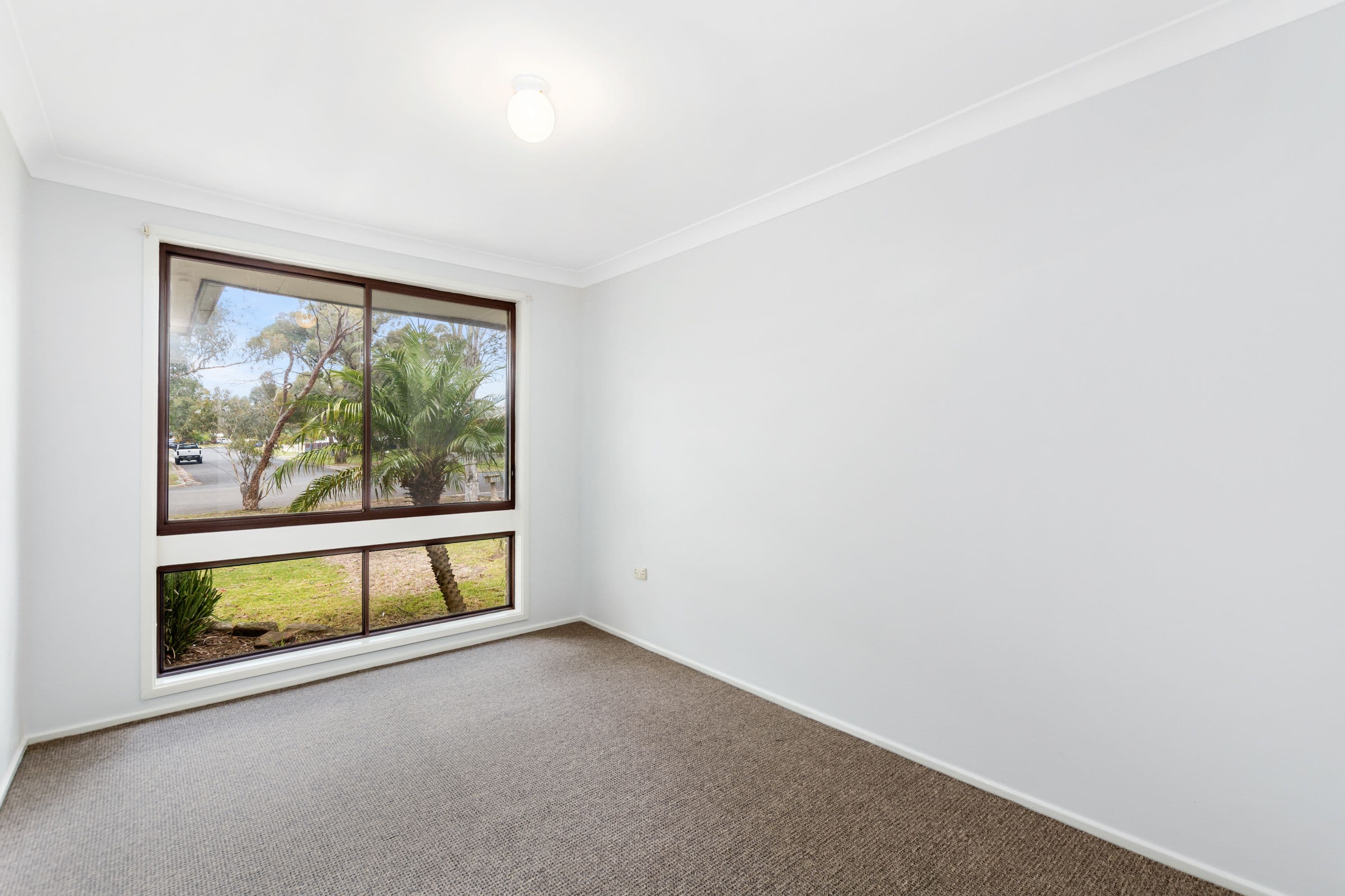 51 Penrose Drive, Avondale - Thumbnail 5