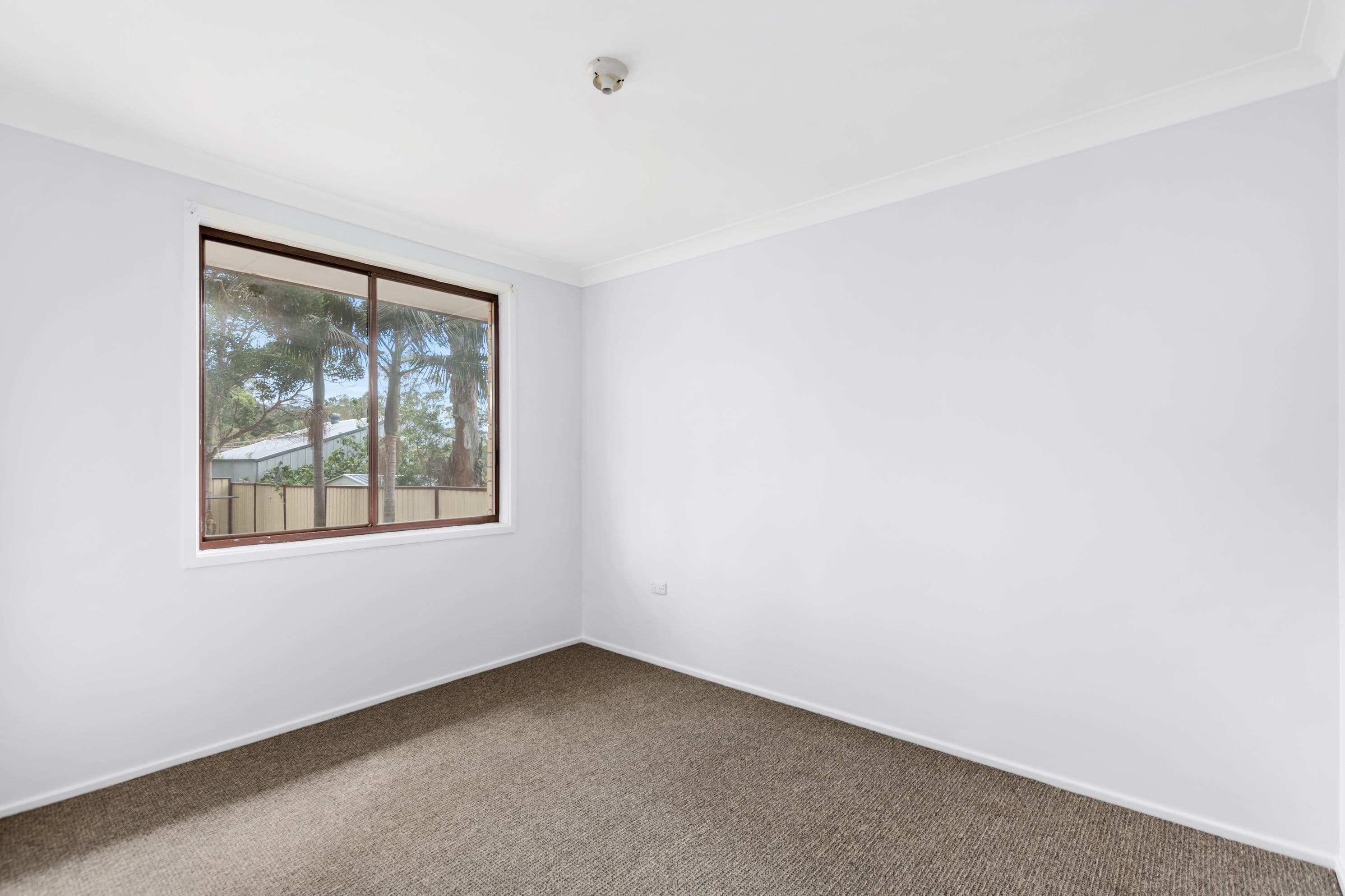 51 Penrose Drive, Avondale - Thumbnail 6