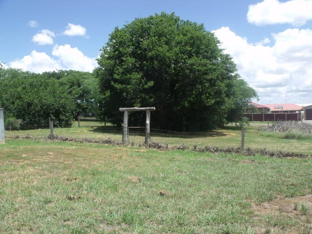 359 Haly, Kingaroy QLD 4610, Kingaroy - Thumbnail 5