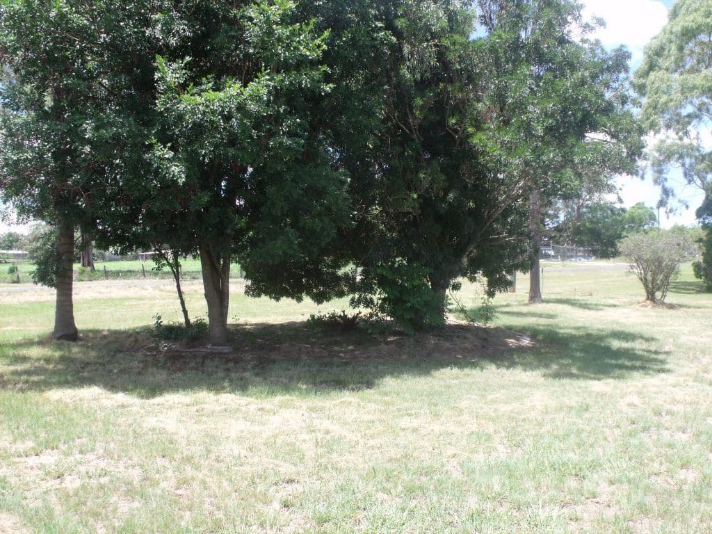 359 Haly, Kingaroy QLD 4610, Kingaroy - Thumbnail 8