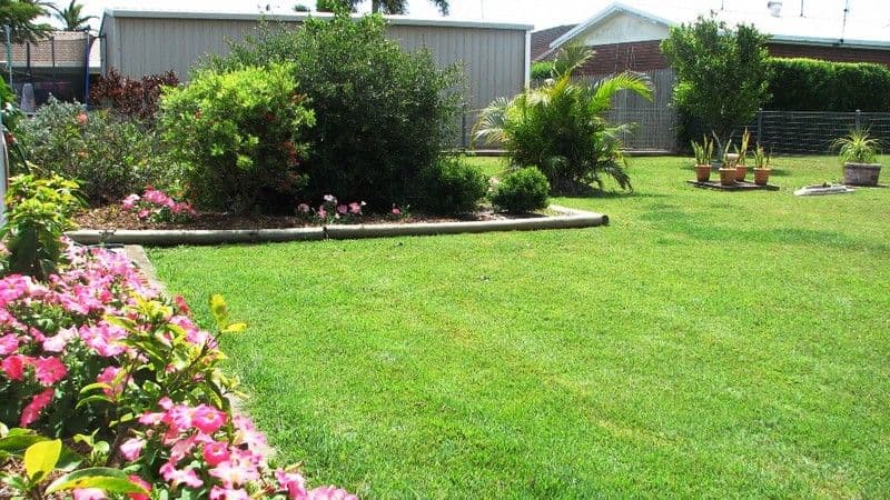 25 Black Street, NORVILLE QLD 4670, Norville - Thumbnail 3