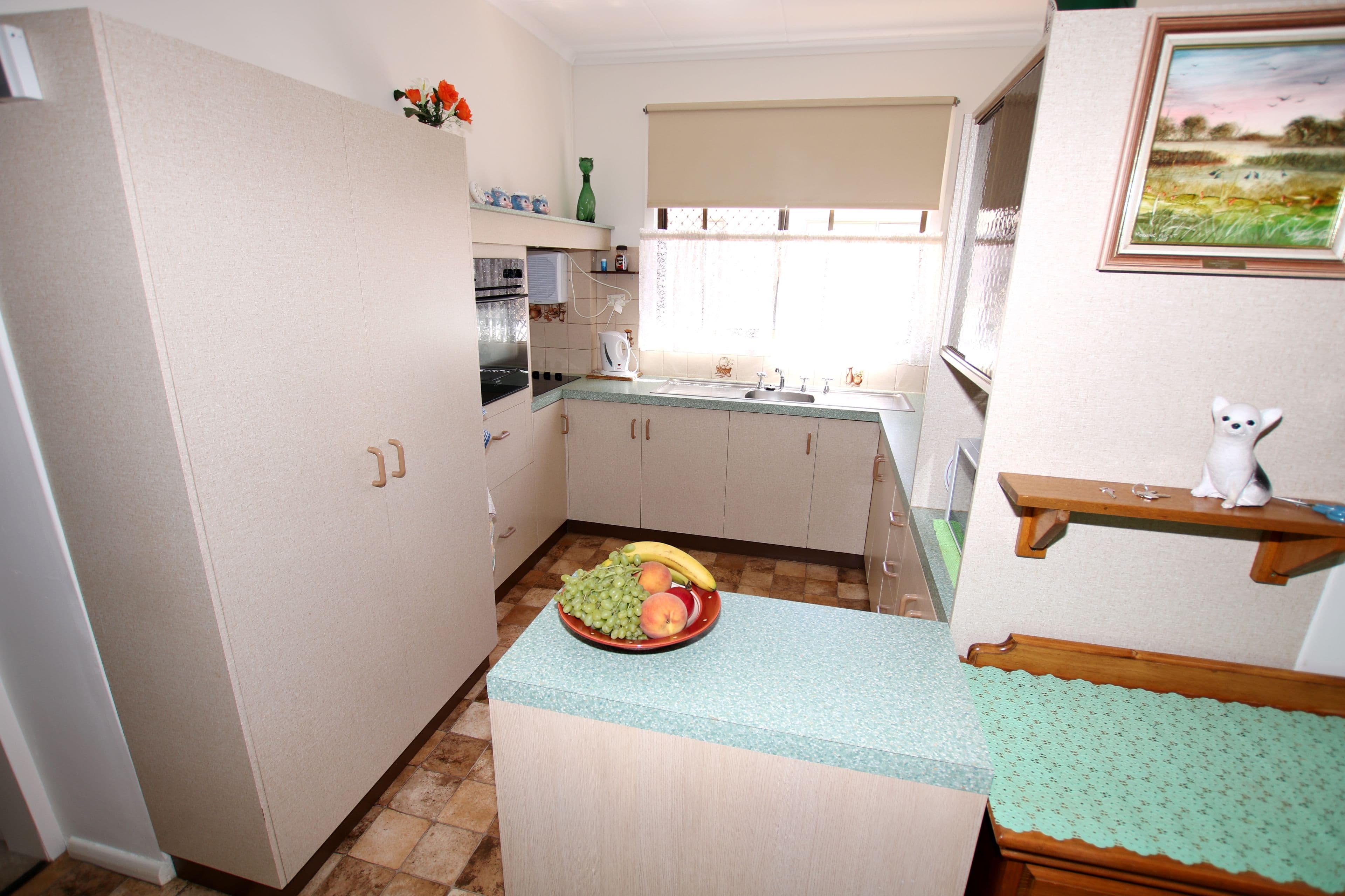 6 Dickerson Street, Barmera SA 5345, Barmera - Thumbnail 4