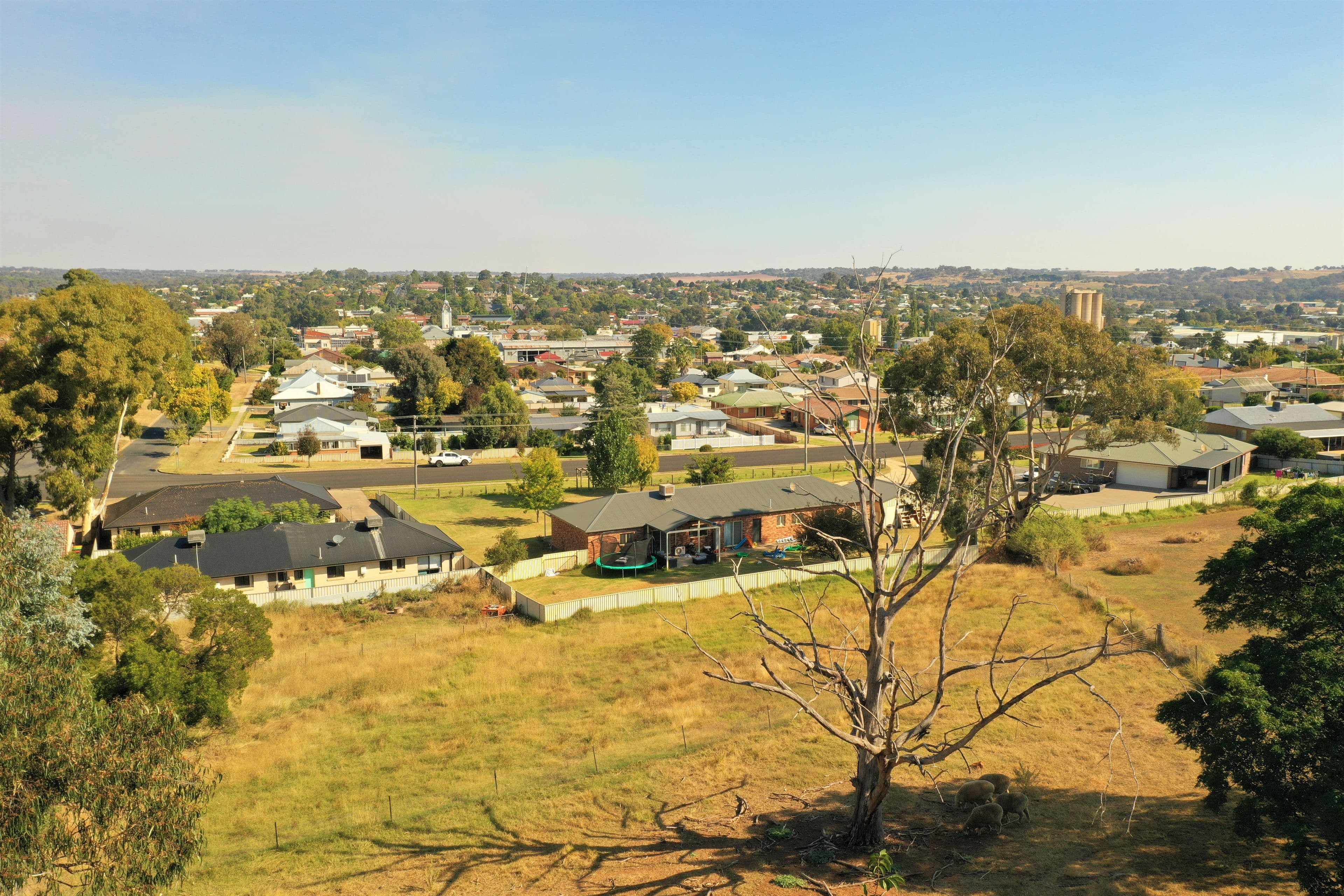 4 Cram Avenue, Young NSW 2594, Young - Thumbnail 4