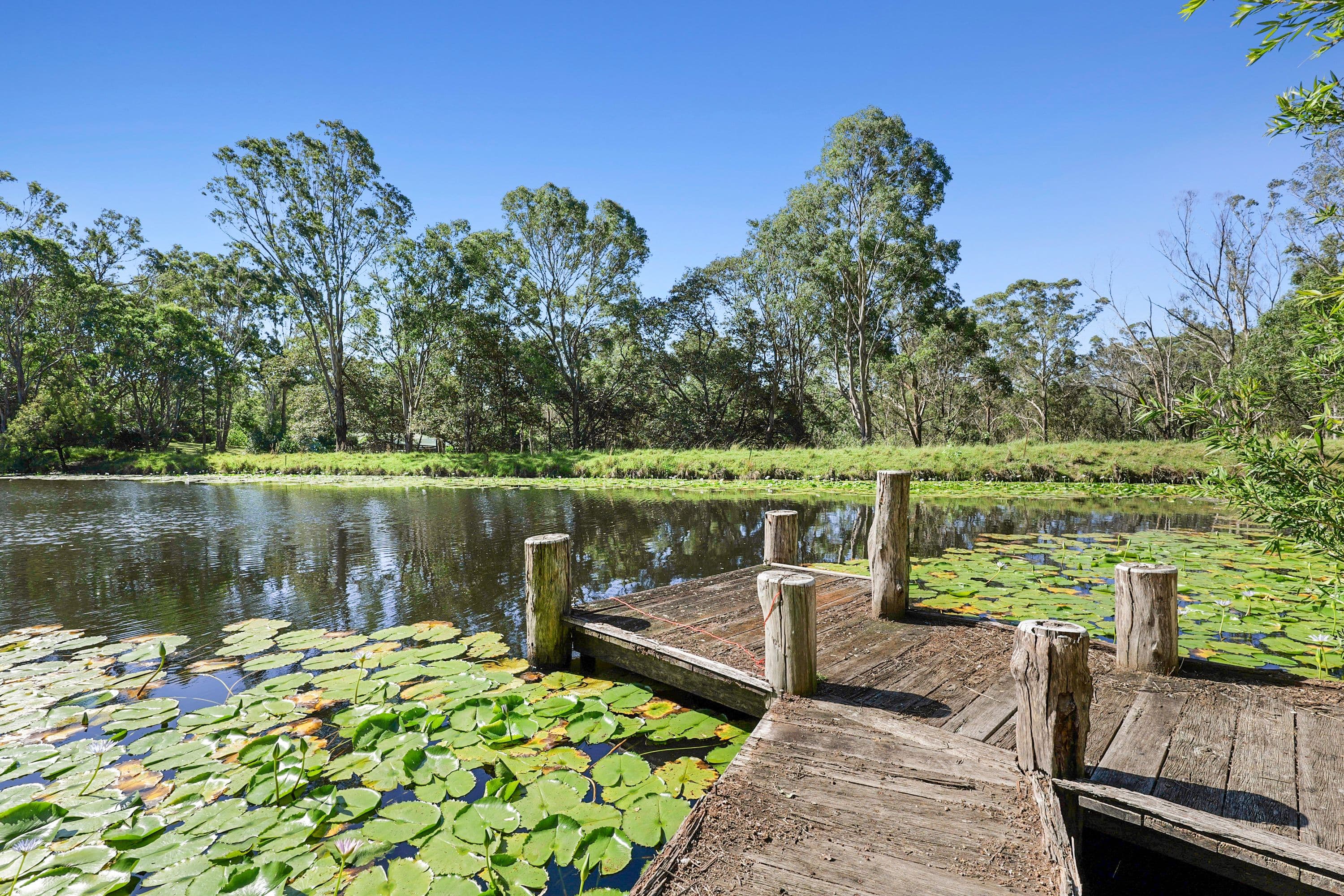 264a Bells Road, Grose Vale NSW 2753, Grose Vale - Thumbnail 4