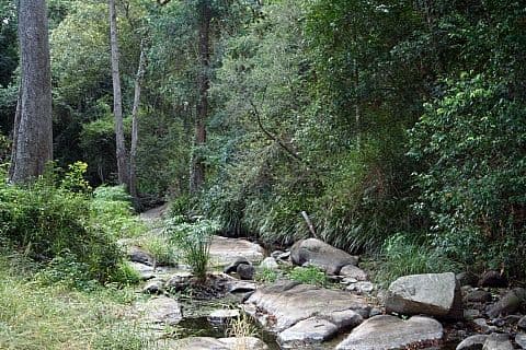 213 Gibbons Road, SAMFORD QLD 4520, Samford Valley - Thumbnail 2