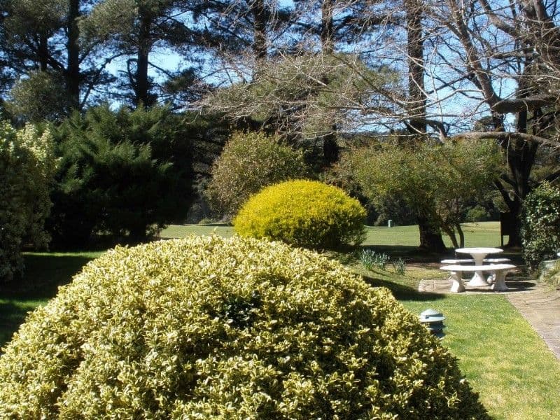 BOWRAL NSW 2576, Bowral - Thumbnail 2