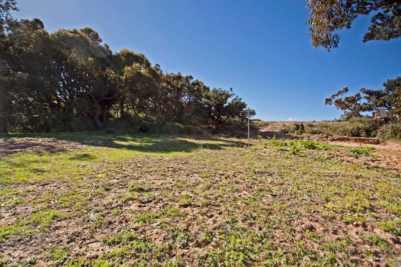 100 Eric Street, BUNDEENA NSW 2230, Bundeena - Thumbnail 8