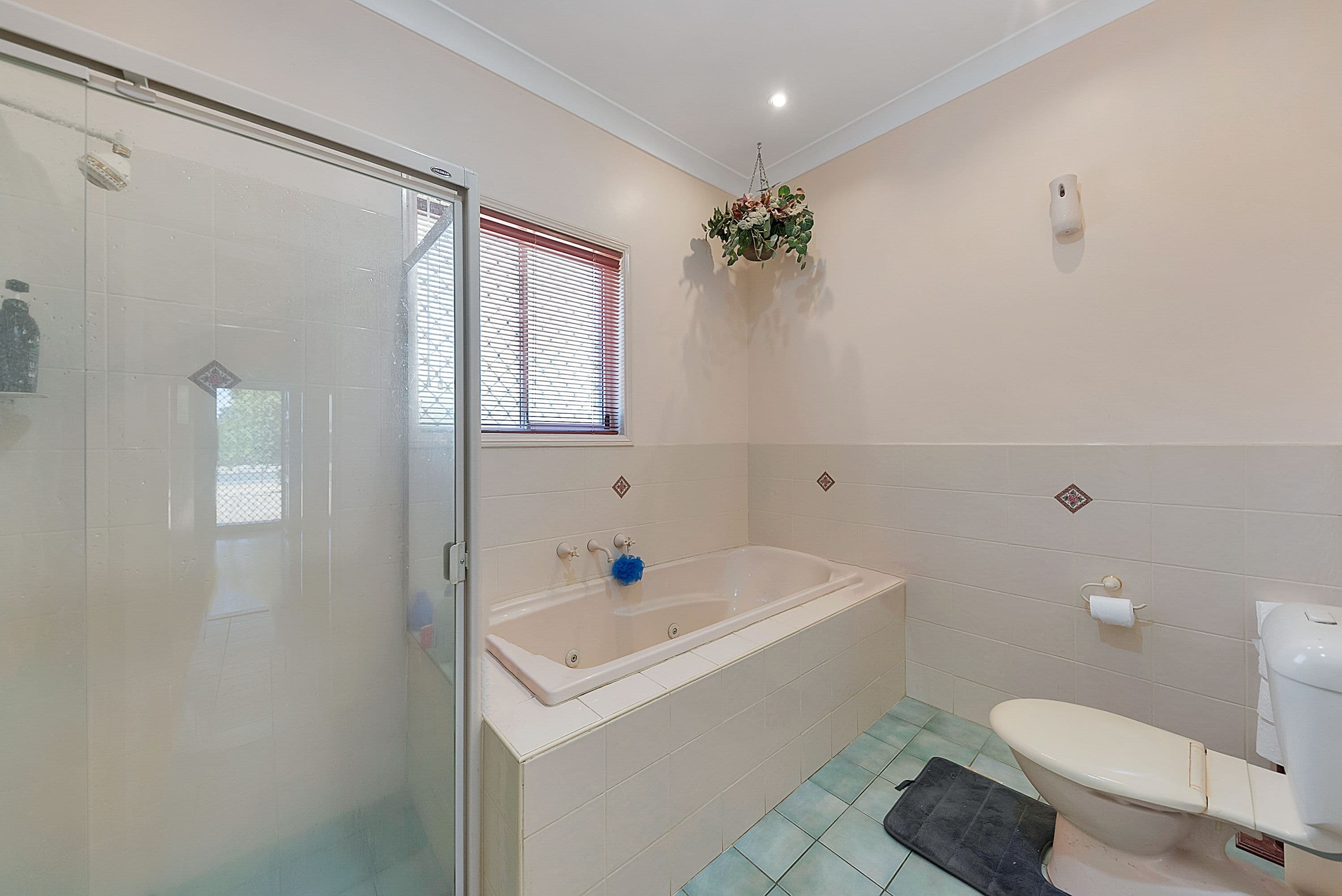 51 Haydown Road, Elizabeth Grove SA 5112, Elizabeth Grove - Thumbnail 7