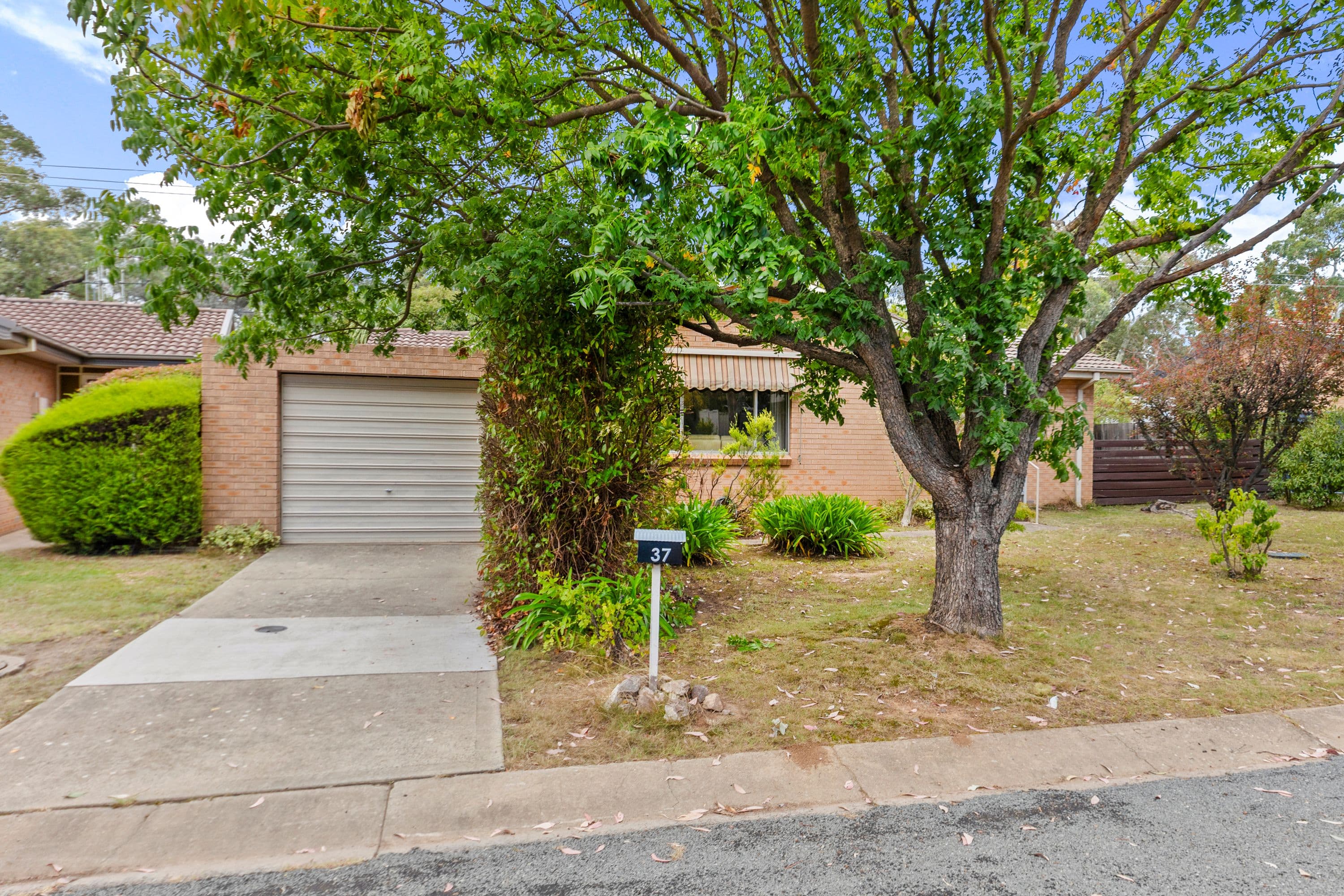 37 Blandon Place, Holt ACT 2615, Holt - Thumbnail 3