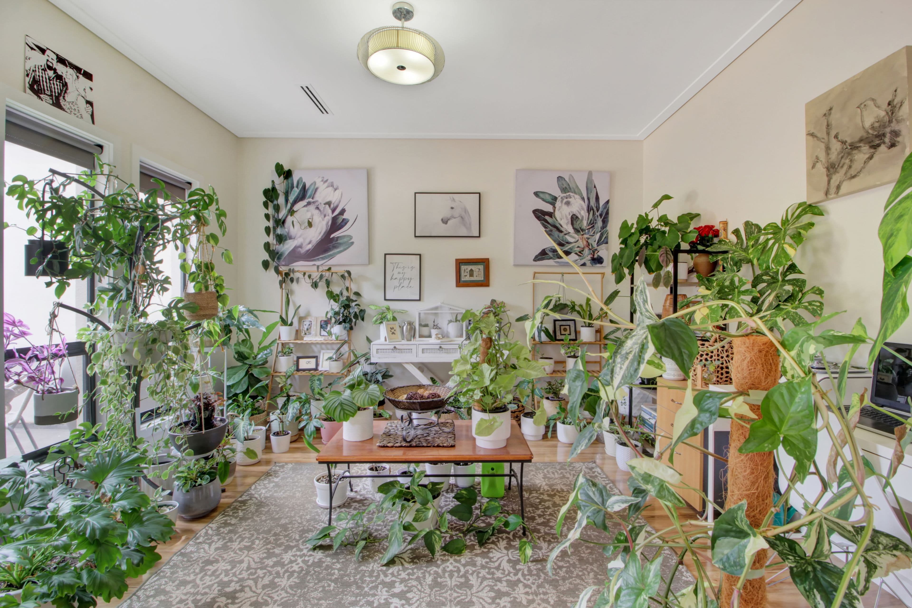 14 Curren Road, Berri SA 5343, Berri - Thumbnail 4