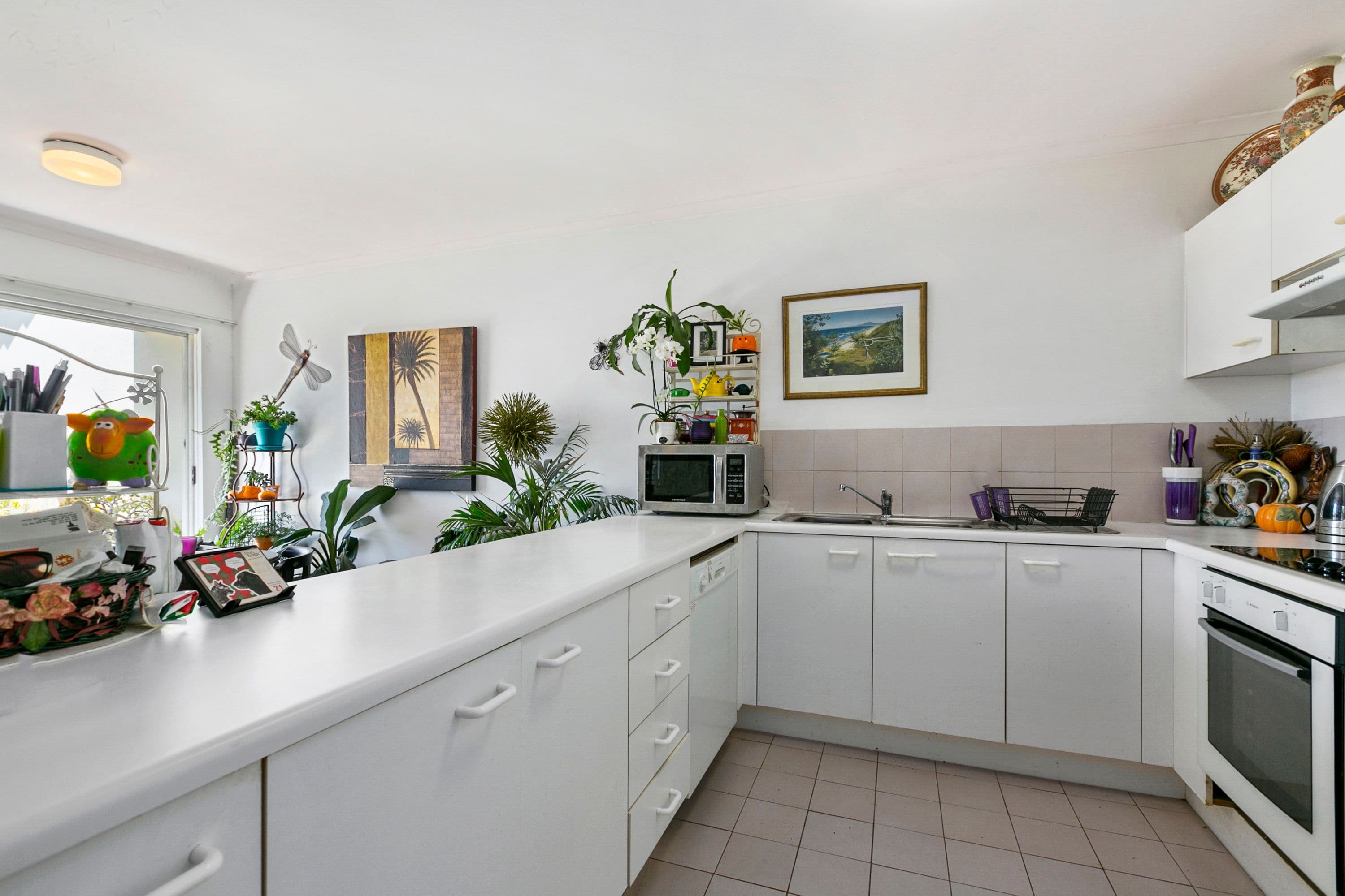 2 Sidoni Street, Tewantin QLD 4565, Tewantin - Thumbnail 8