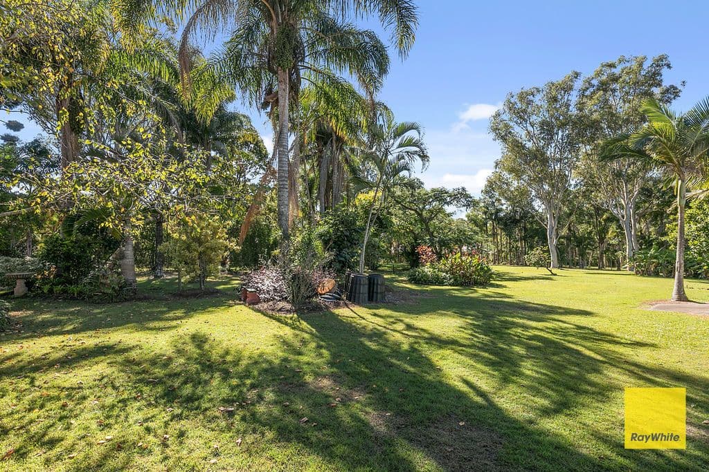 310 Ney Road, Capalaba QLD 4157, Capalaba - Thumbnail 5