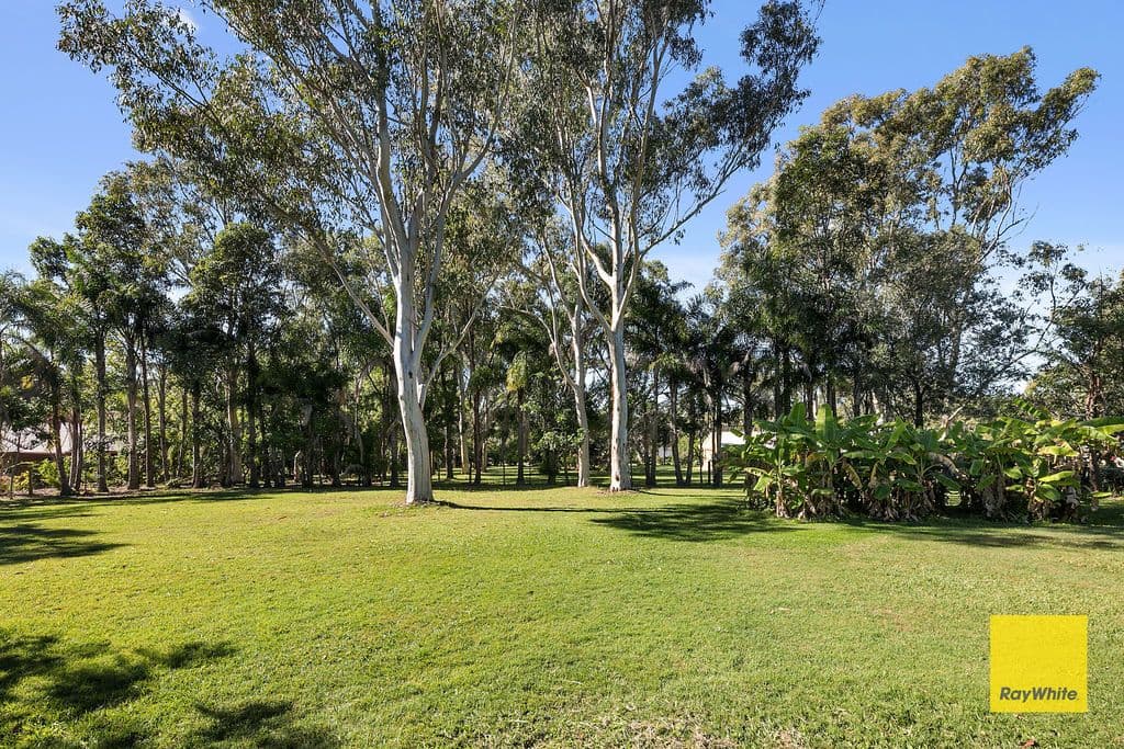 310 Ney Road, Capalaba QLD 4157, Capalaba - Thumbnail 6