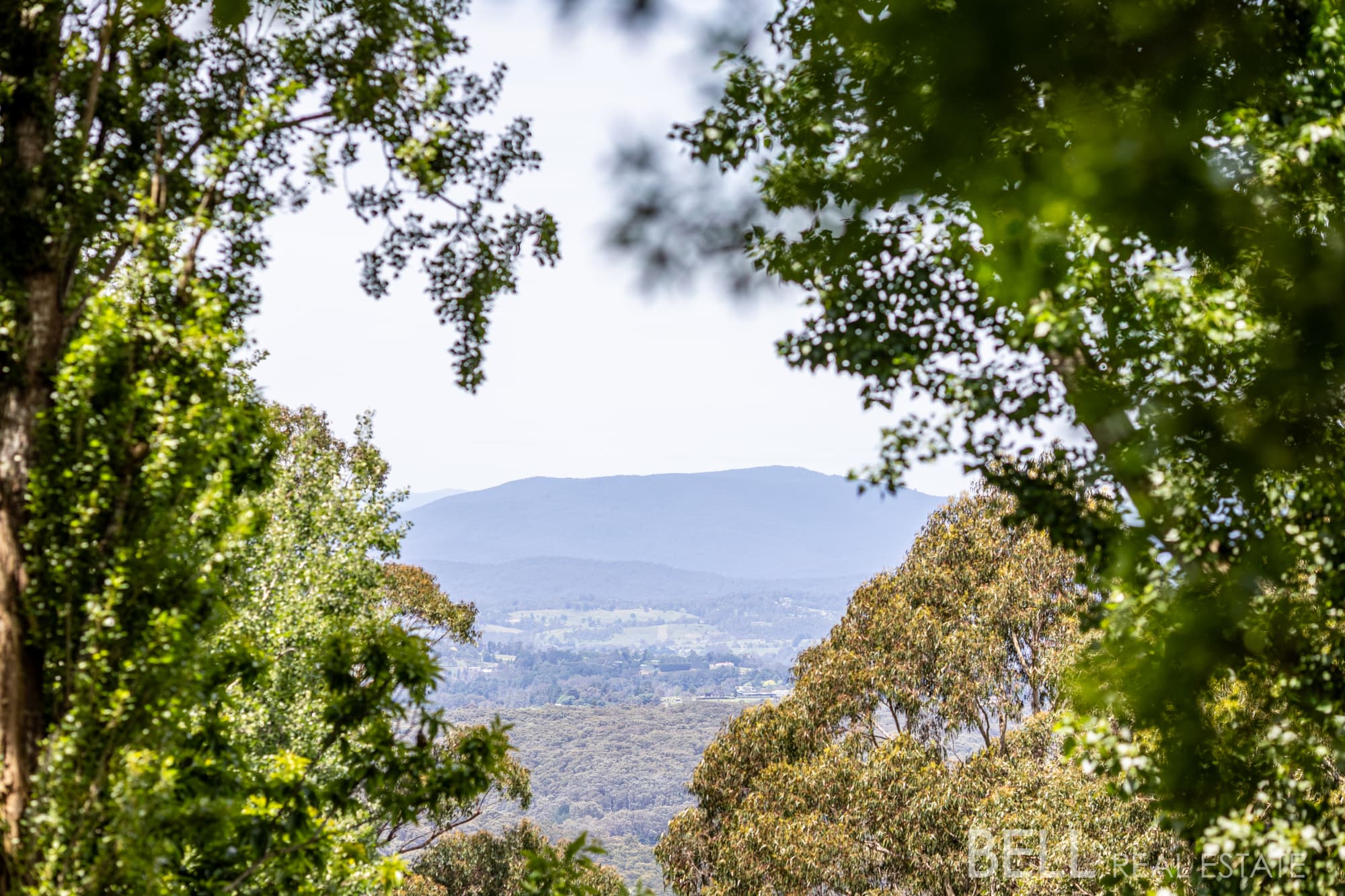 3 Warwick Road, KALORAMA, Kalorama - Thumbnail 4
