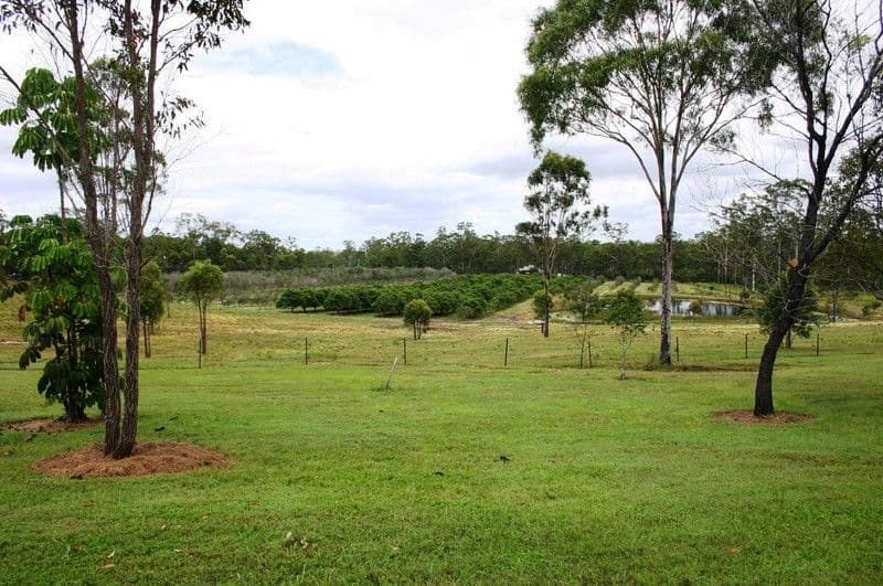 57 Bluegum Road, SOUTH KOLAN QLD 4670, South Kolan - Thumbnail 8