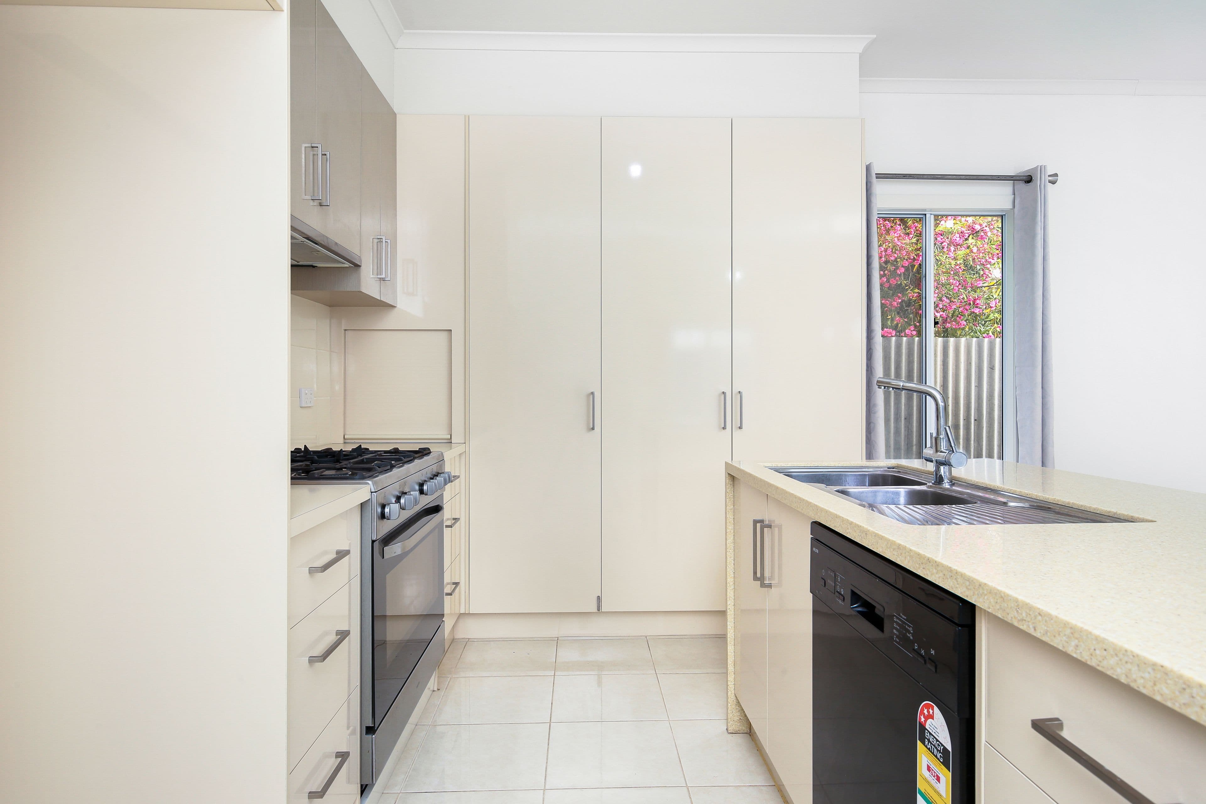 10 Daisy Avenue, Mitchell Park SA 5043, Mitchell Park - Thumbnail 6