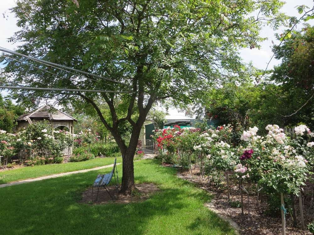 115 Hume Street, Howlong - Thumbnail 2