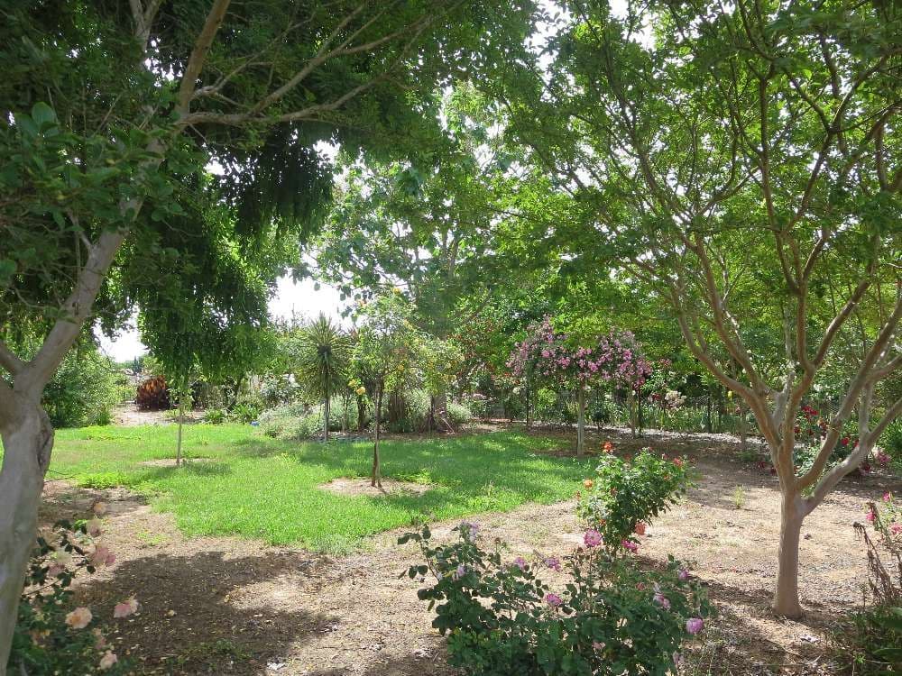 115 Hume Street, Howlong - Thumbnail 5