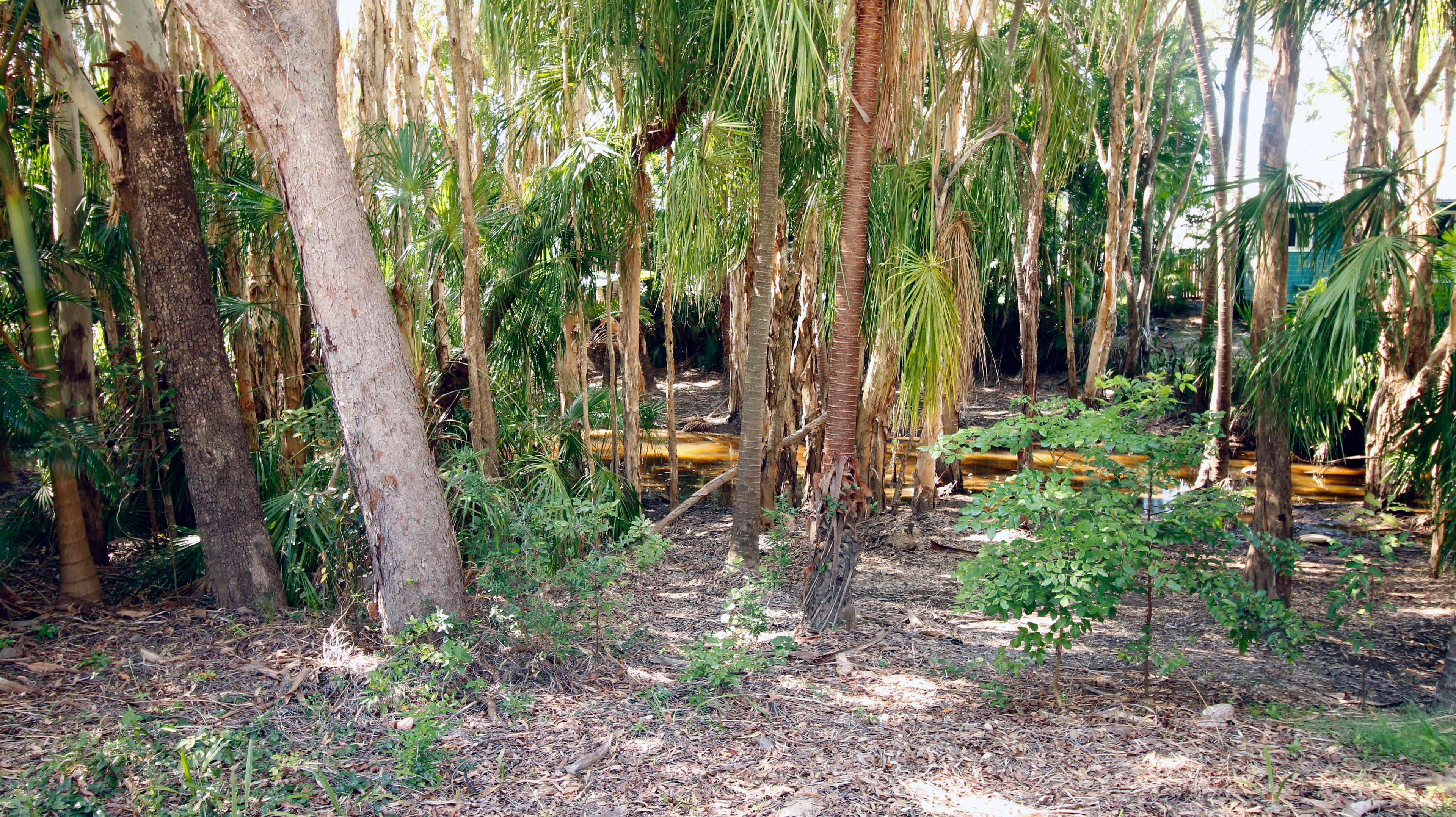 2 Beach Houses Estate Road, Agnes Water QLD 4677, Agnes Water - Thumbnail 3