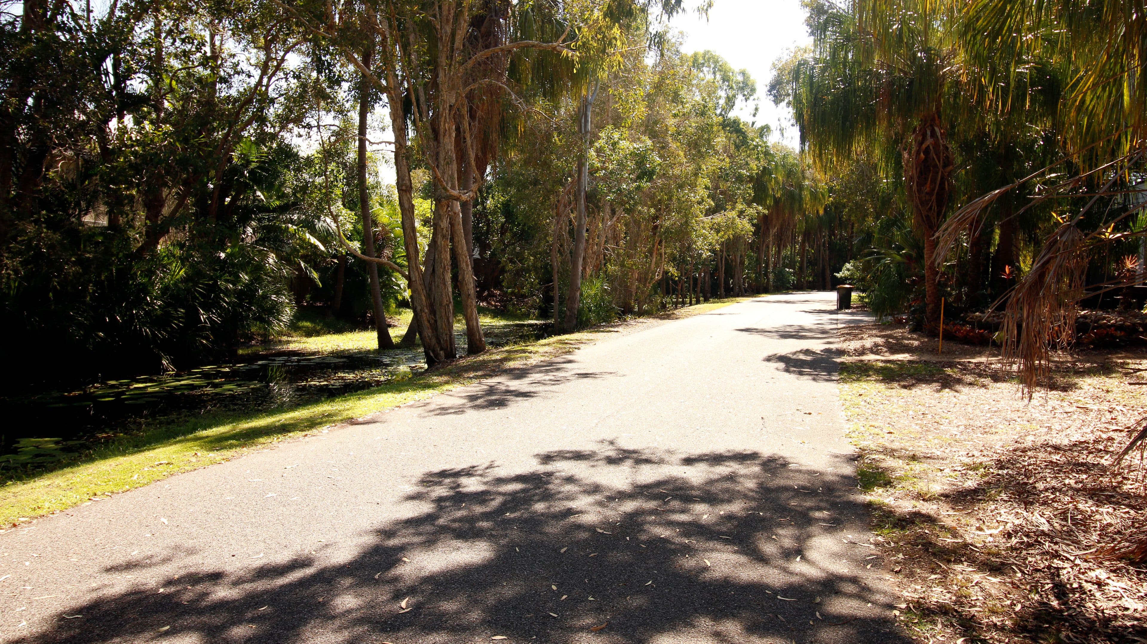 2 Beach Houses Estate Road, Agnes Water QLD 4677, Agnes Water - Thumbnail 6