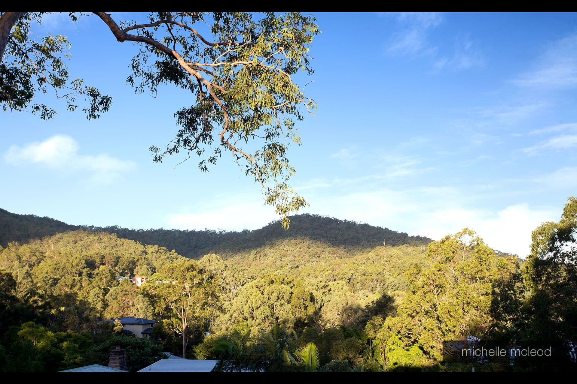 441 Bielby Road, Chapel Hill QLD 4069, Chapel Hill - Thumbnail 2