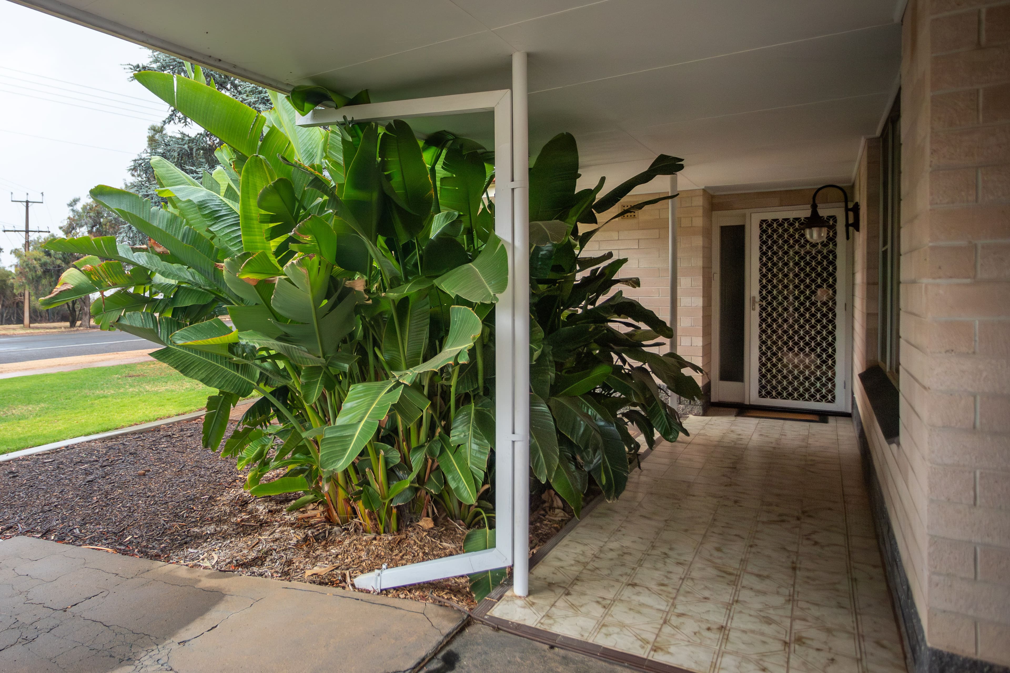 12 Nookamka Terrace, Barmera SA 5345, Barmera - Thumbnail 3