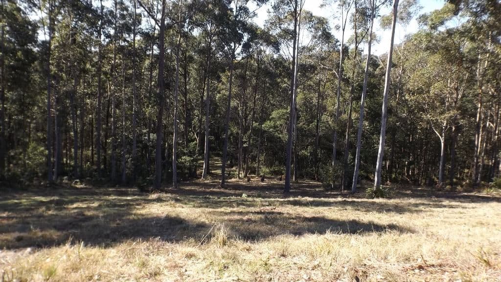8 Woodlot Place, Batehaven NSW 2536, Batehaven - Thumbnail 2