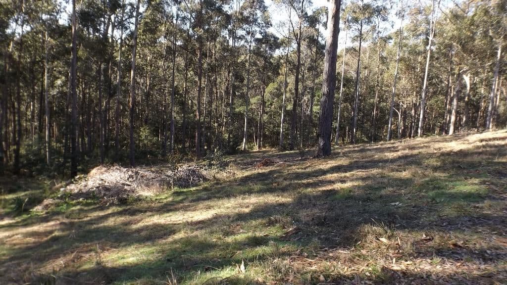 8 Woodlot Place, Batehaven NSW 2536, Batehaven - Thumbnail 6