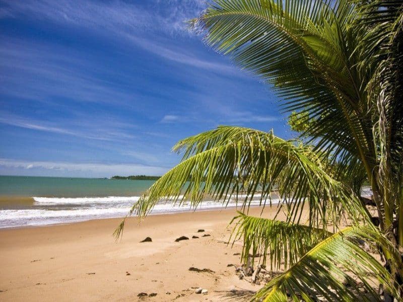 Lot 10 Unsworth Drive, Mission Beach QLD 4852, Mission Beach - Thumbnail 4